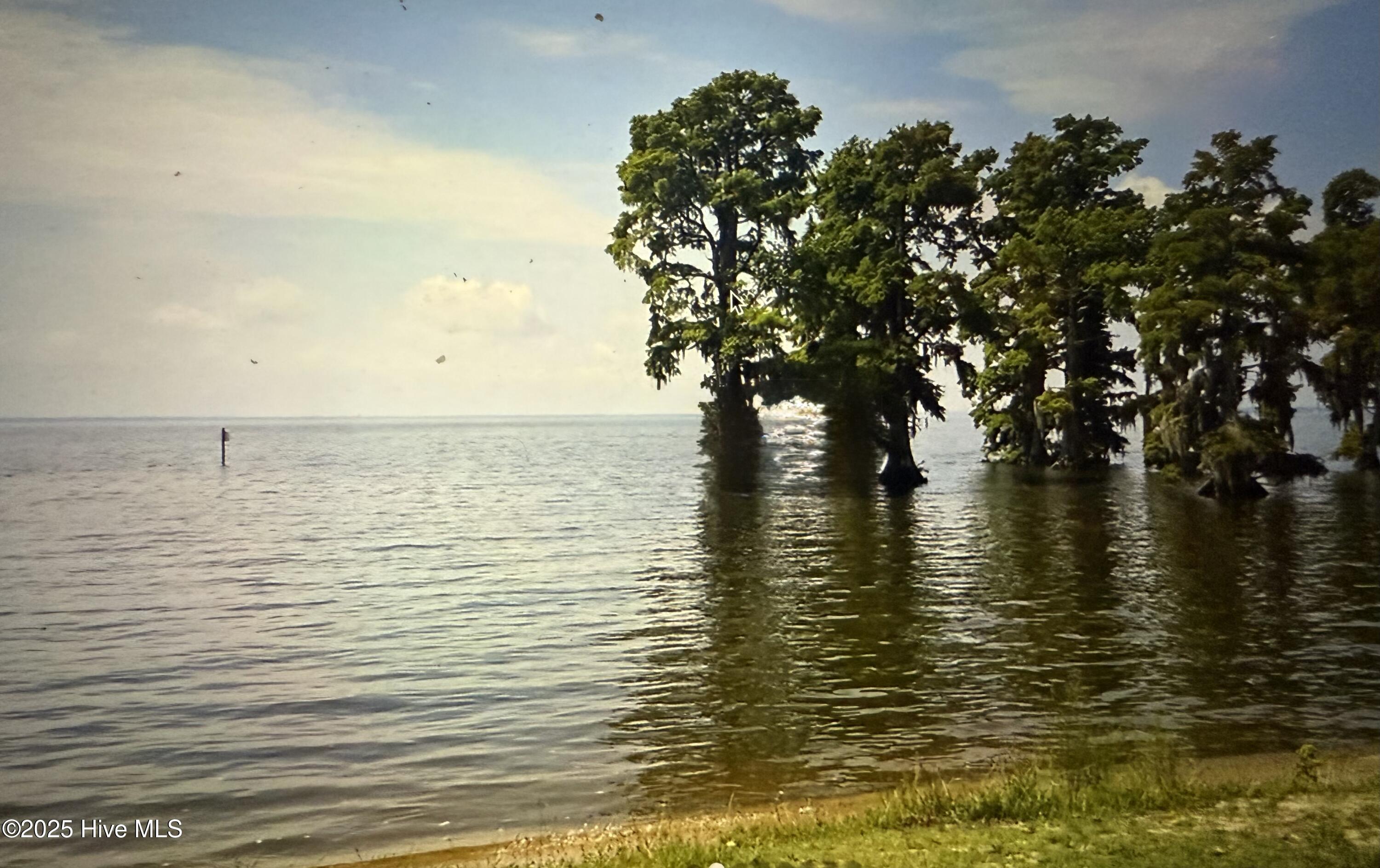 Homes for sale in Edenton, NC | 113 Sycamore Cir, Edenton, NC 27932 | MLS# 100542621