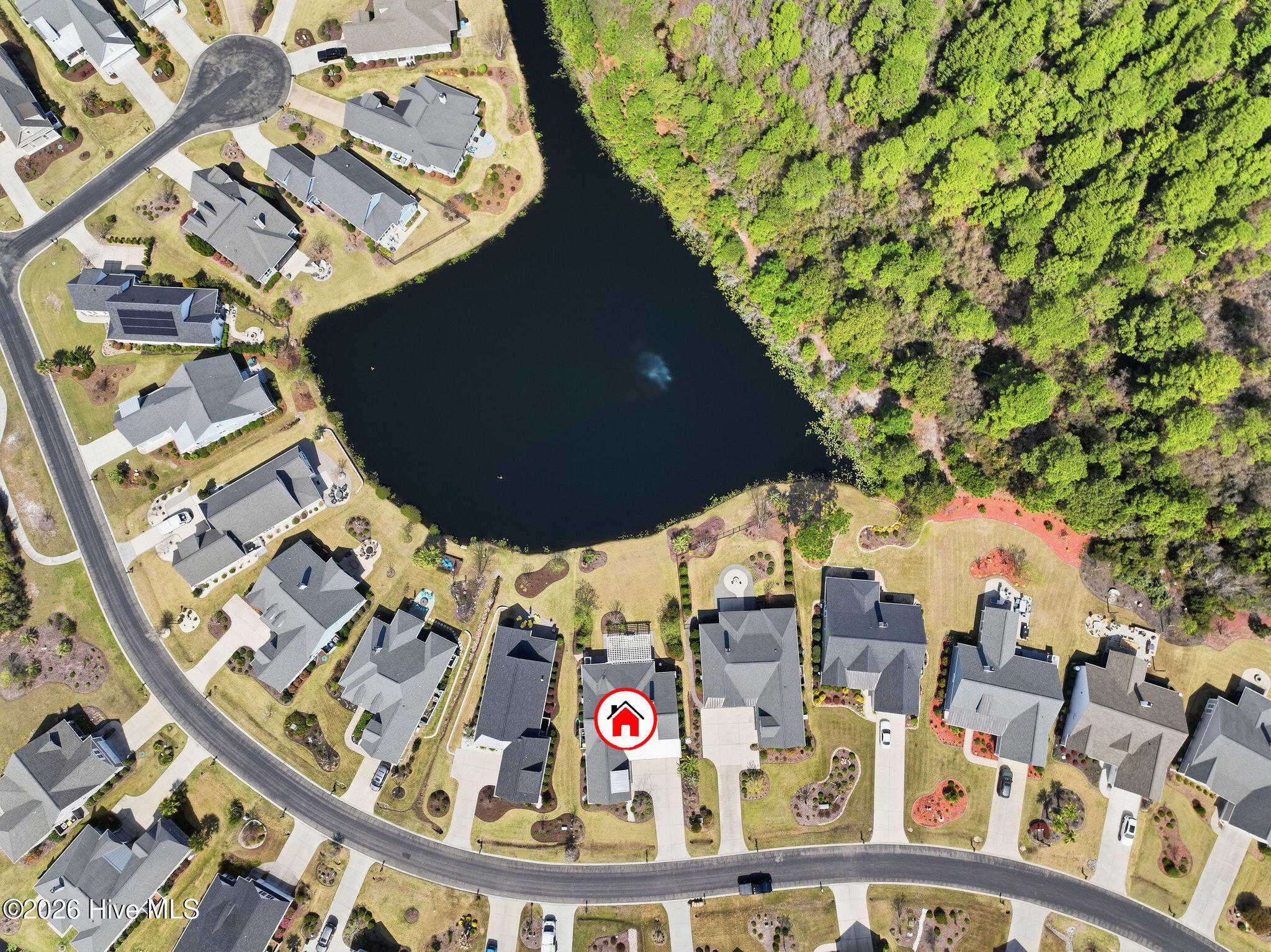 100563234 | Photo 47