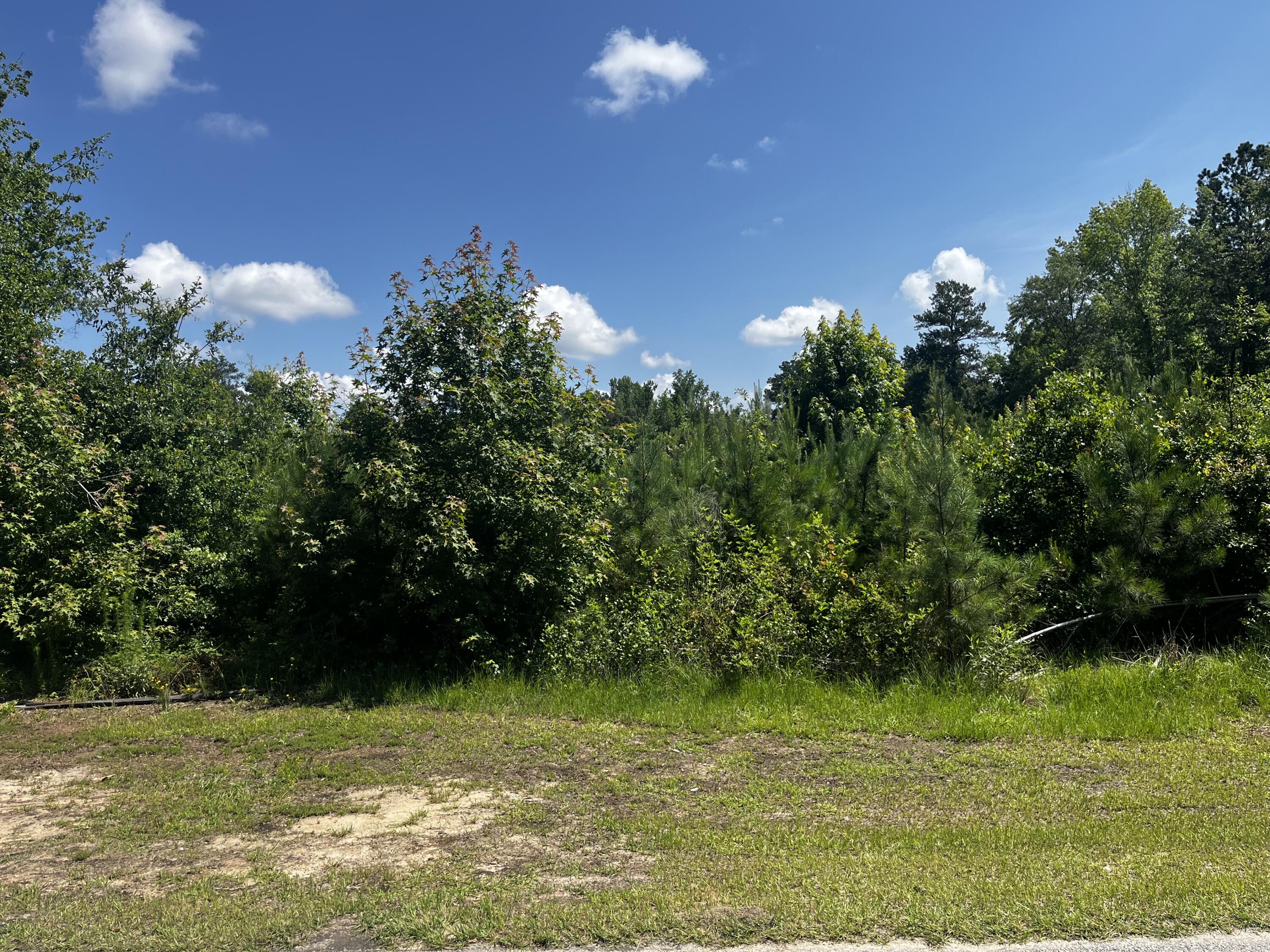 Property at 0 Young Street