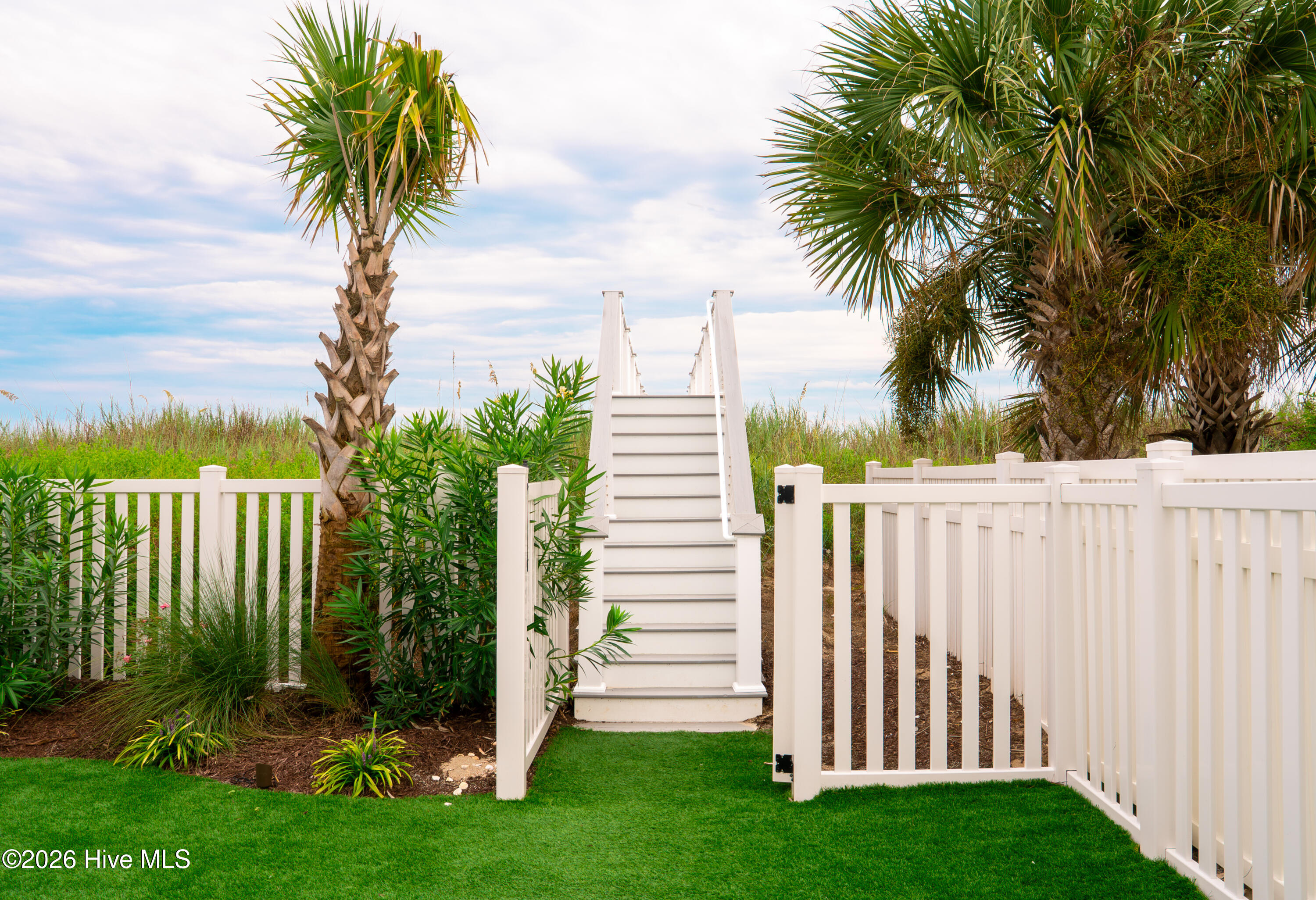 100559556 | Photo 33