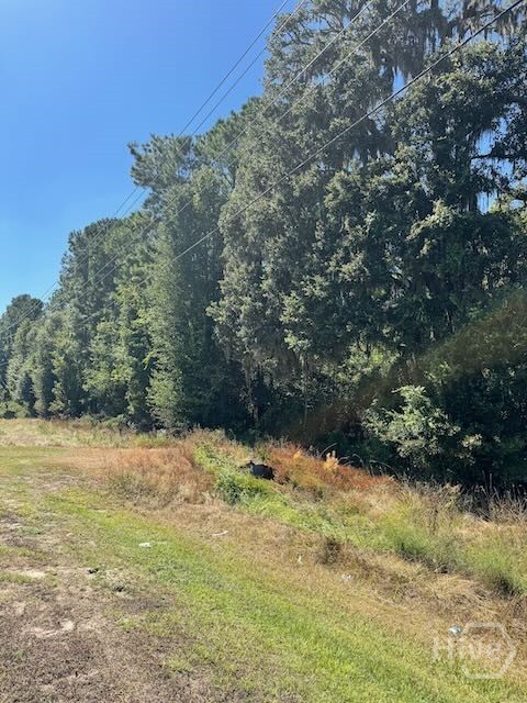 0 Hwy 17 S, Richmond Hill, GA, 31324
