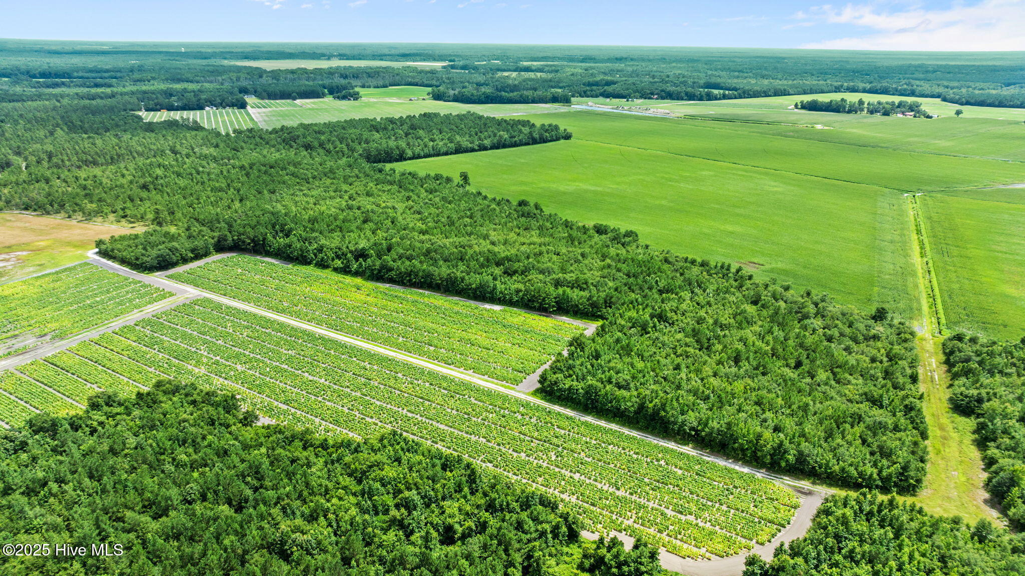 0 Green Sea Road, Garland, NC, 28441