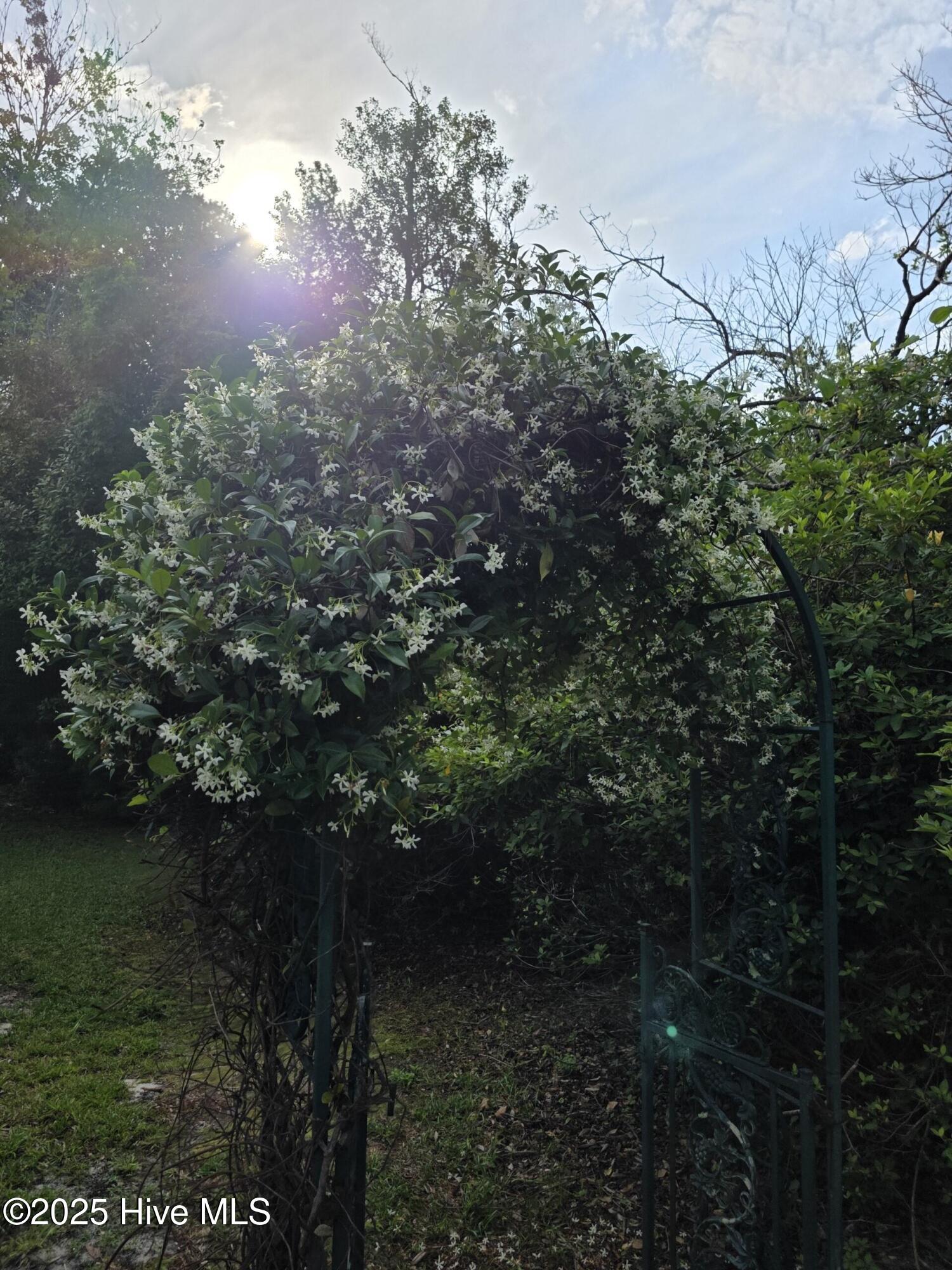 100500123 | Photo 45