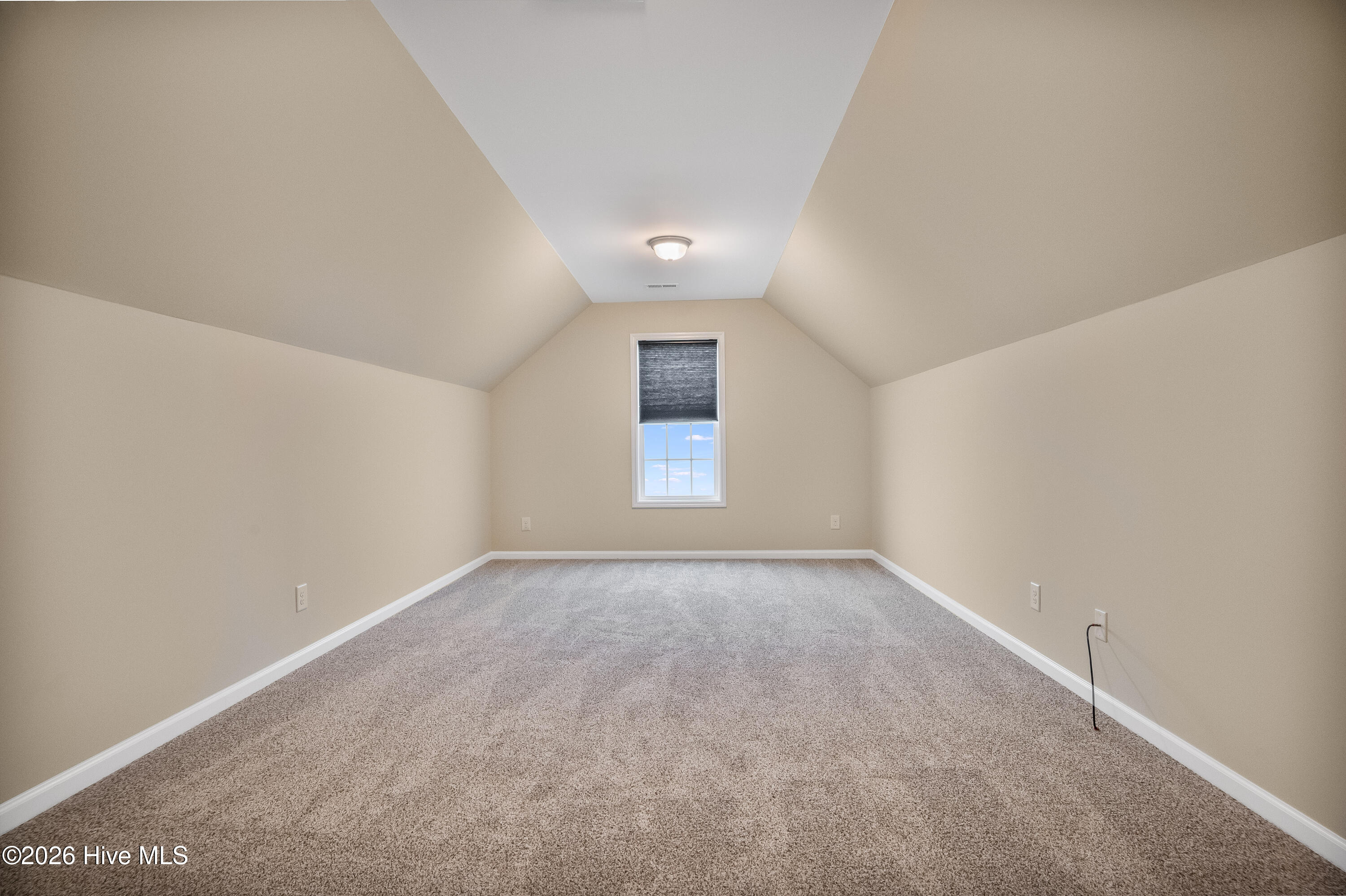 100545678 | Photo 52