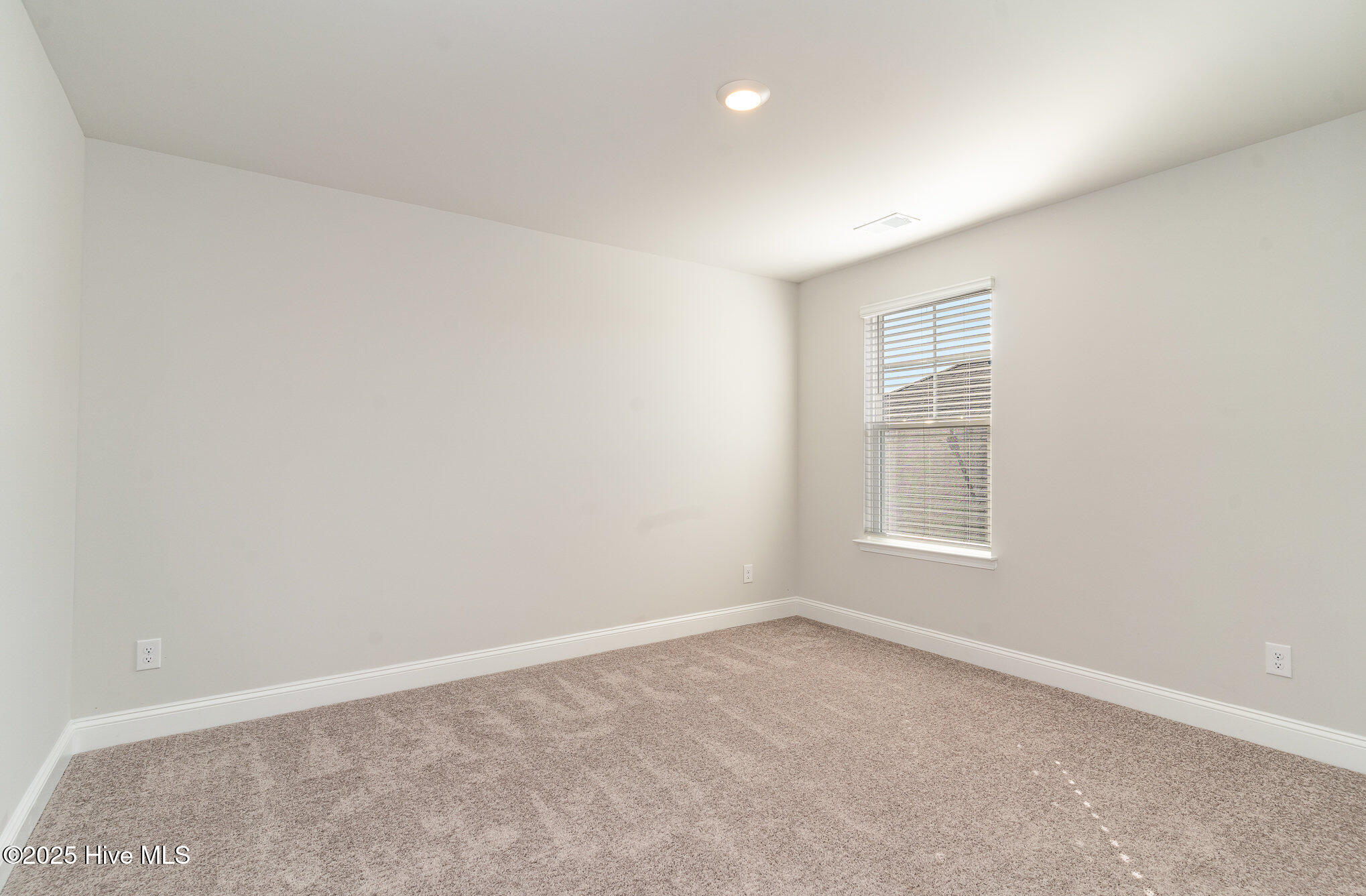 100535812 | Photo 17