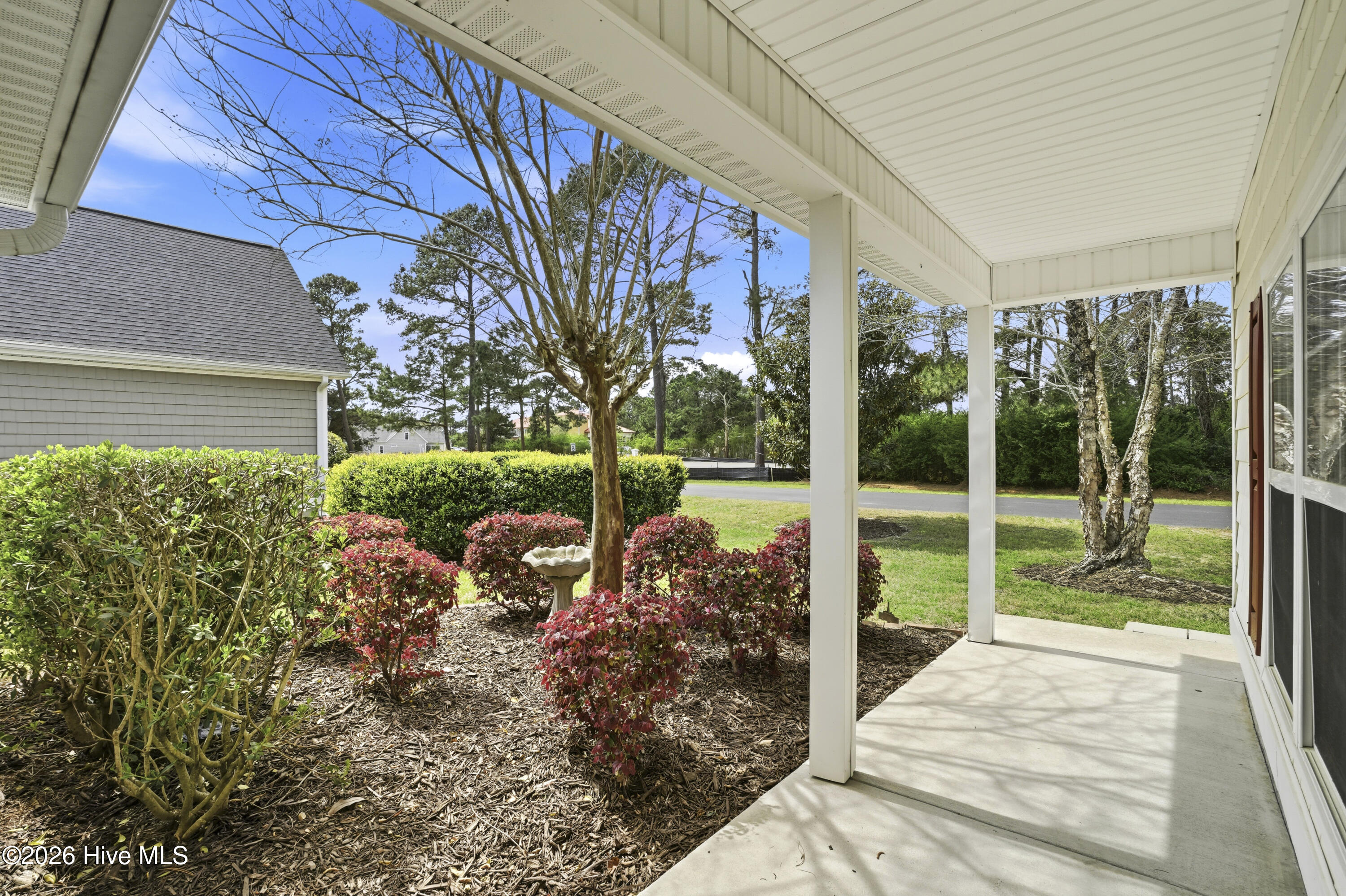 100562955 | Photo 16