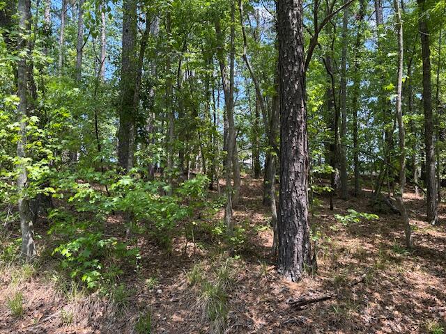 2064 Glenn Falls, Grovetown, GA, 30813