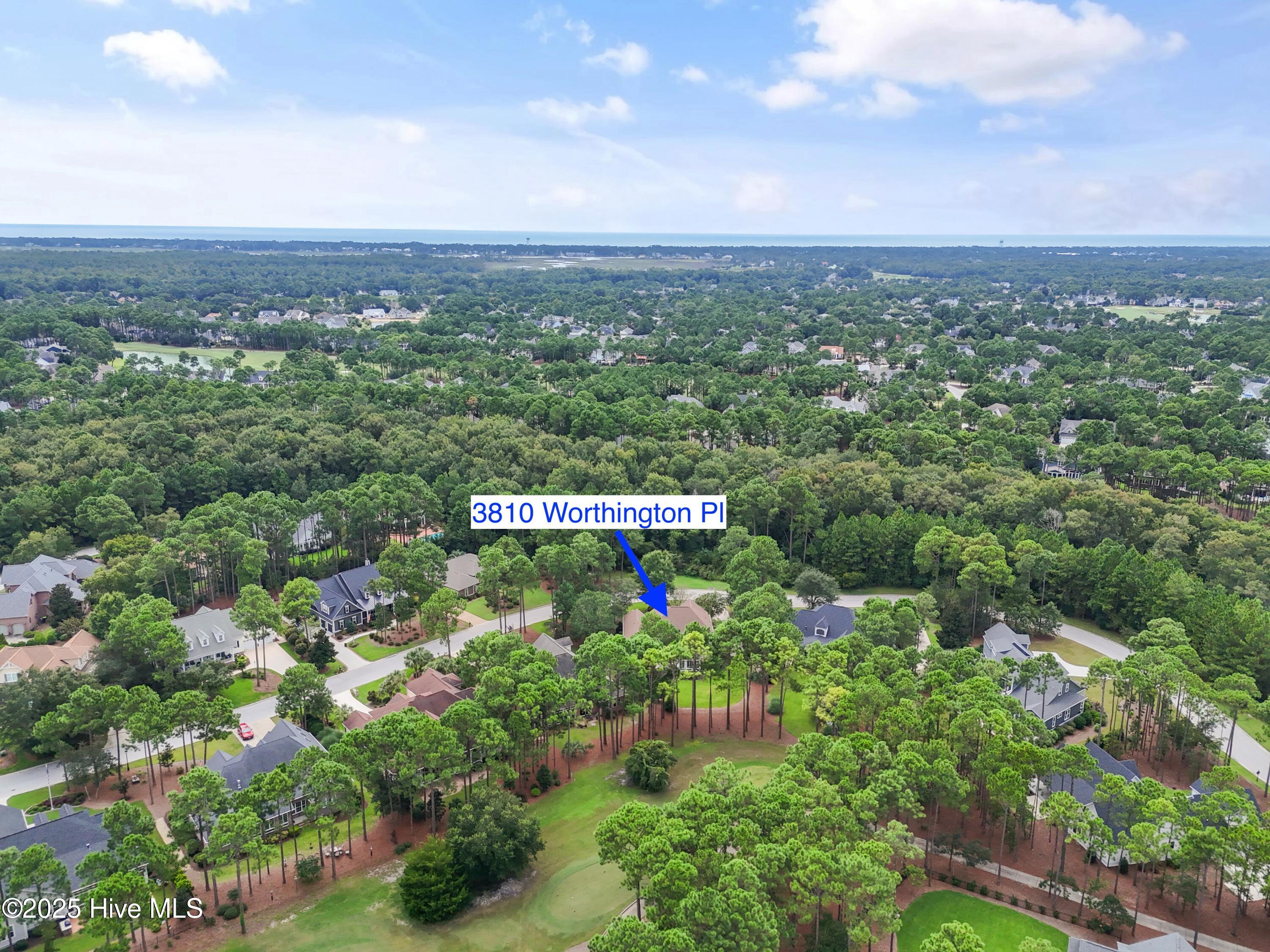 100526720 | Photo 51