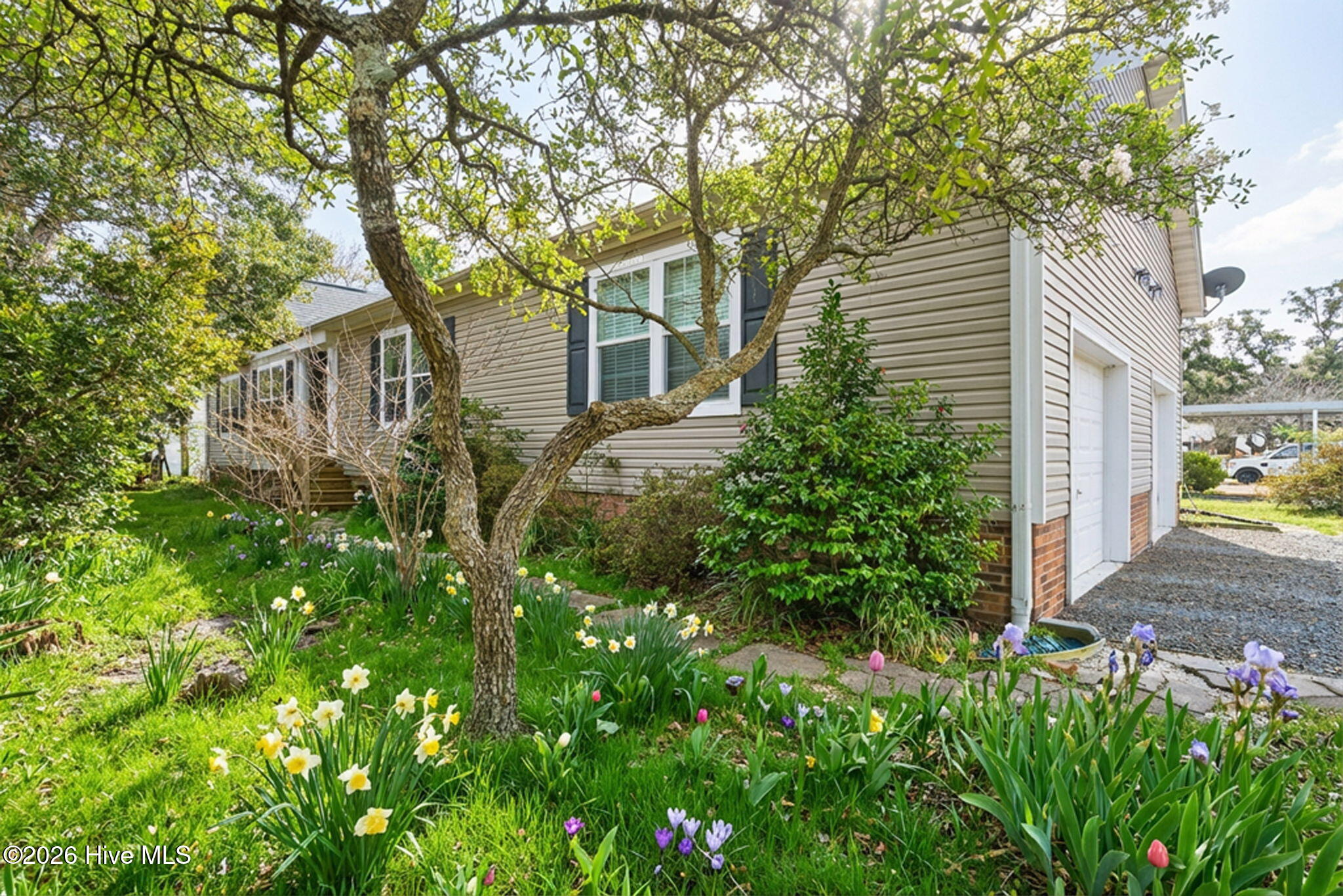 100557070 | Photo 50