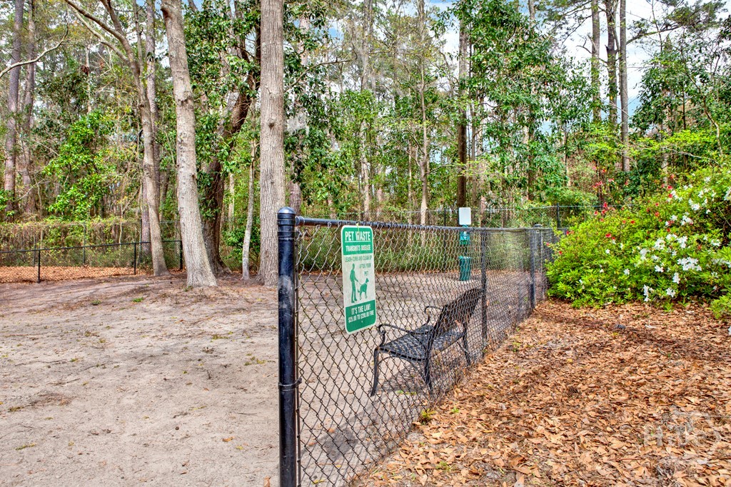 Dog Park