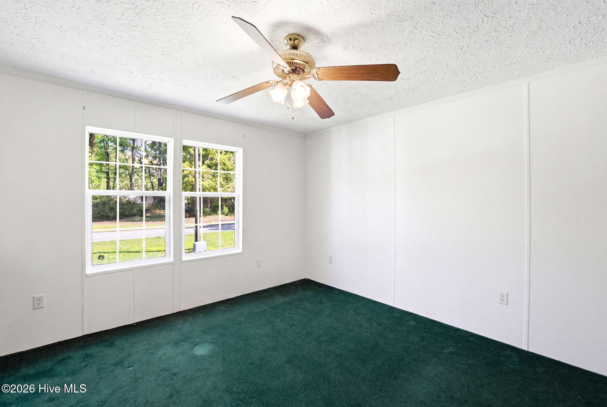 100568157 | Photo 35