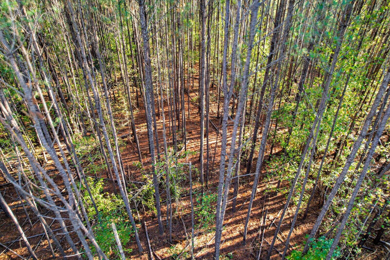 TBD2 SC-23, Edgefield, SC, 29824