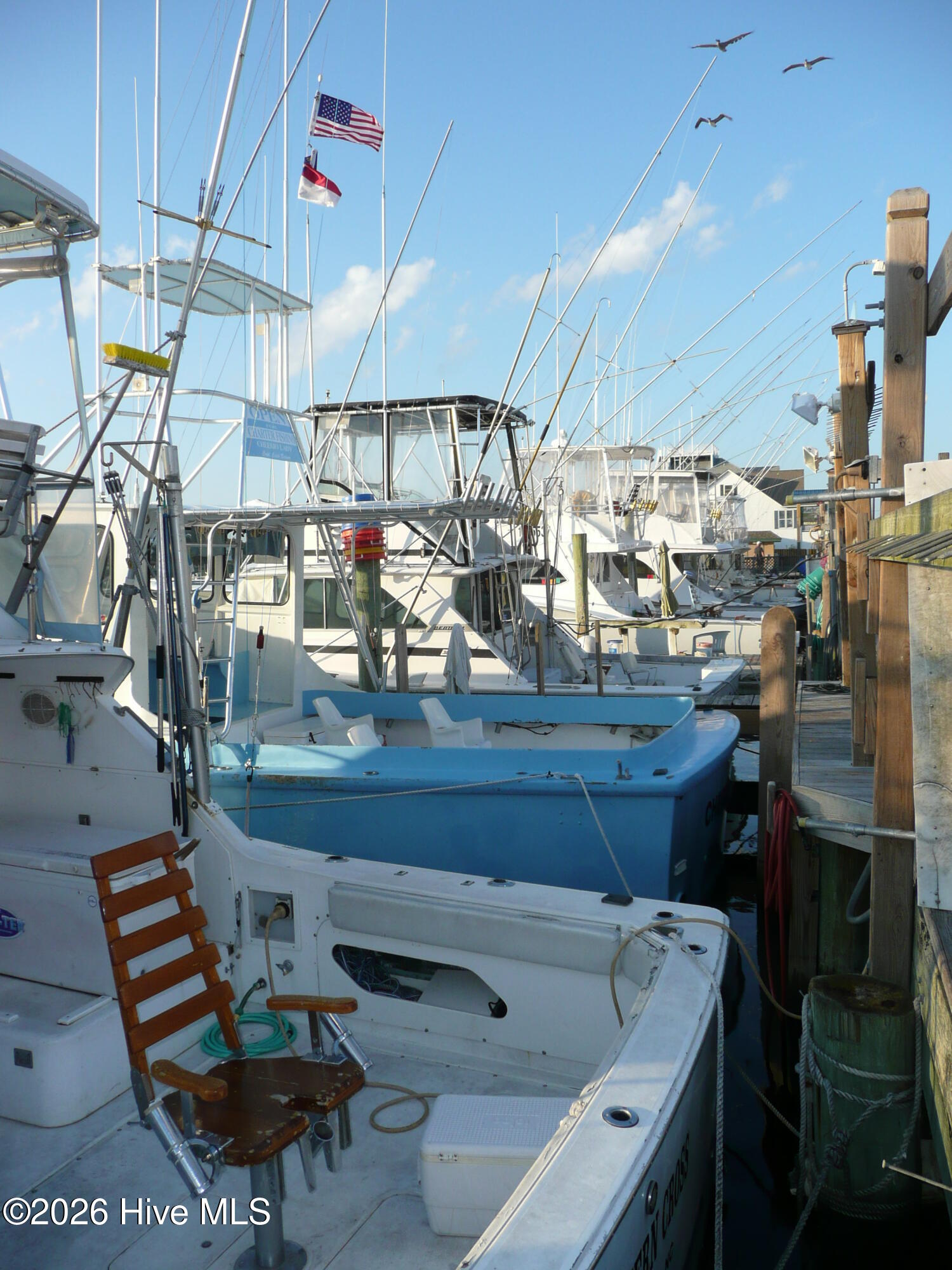 100559910 | Photo 54