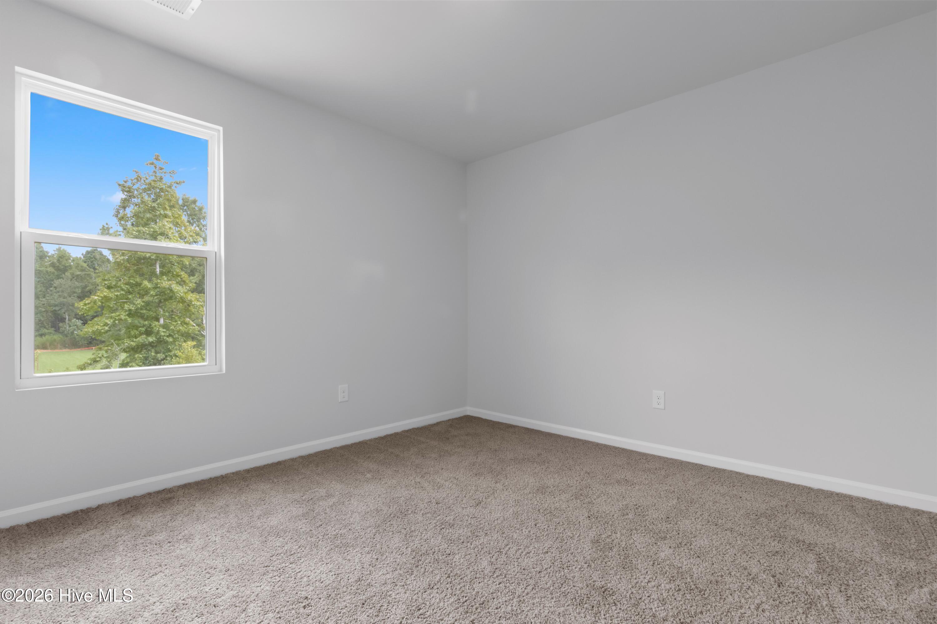 100557656 | Photo 14