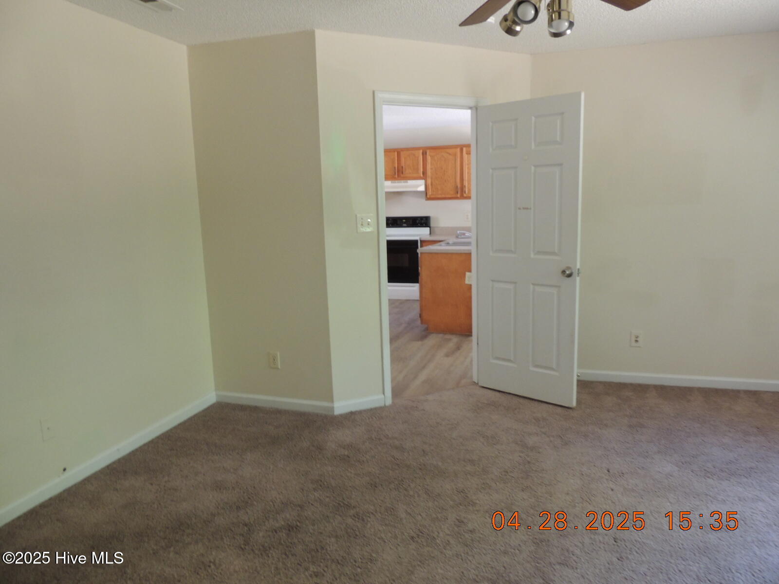 100565687 | Photo 13