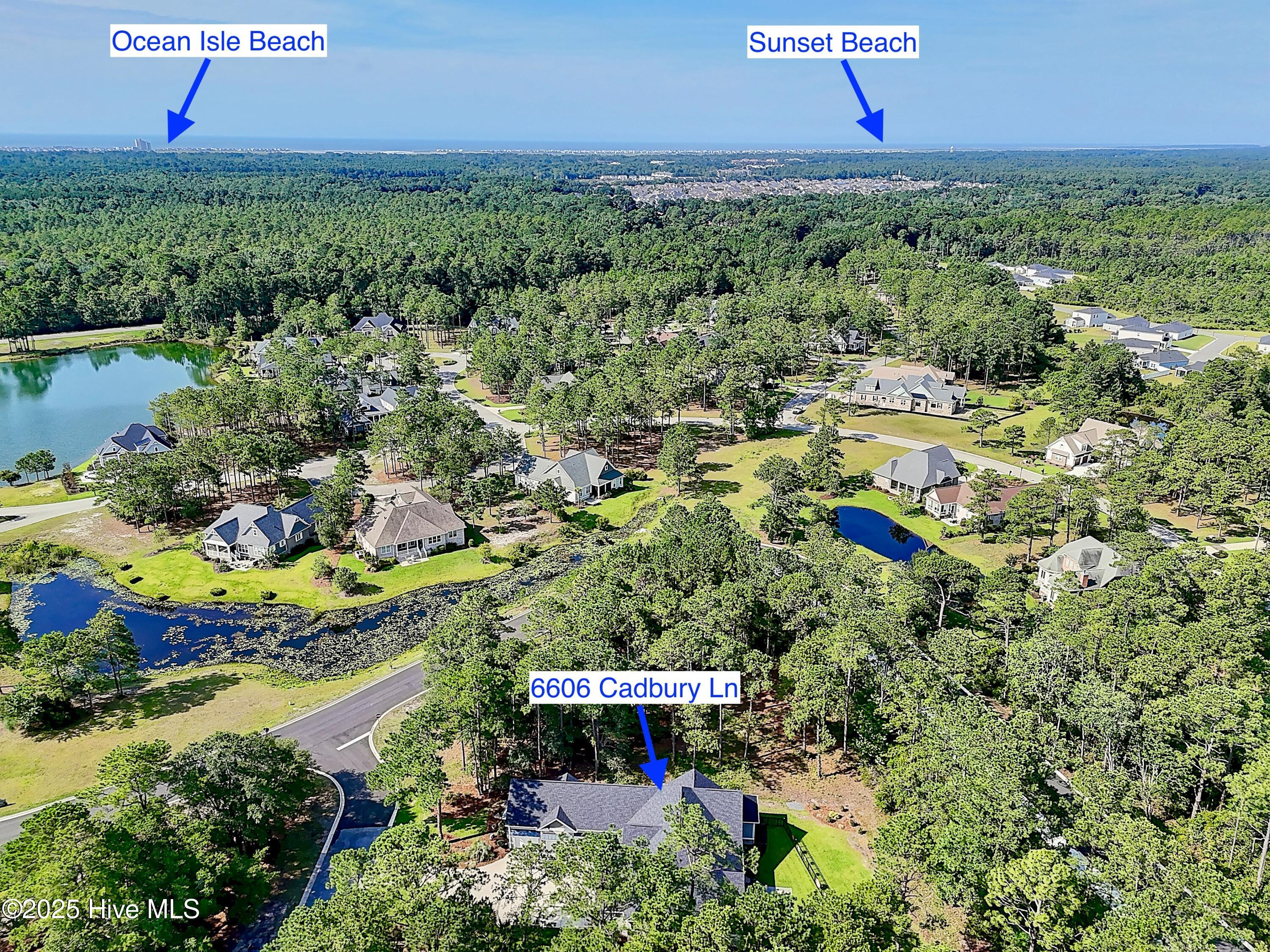 100518411 | Photo 62