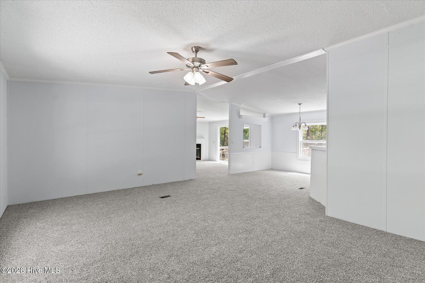 100567568 | Photo 10