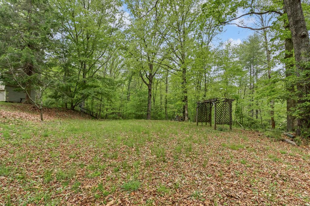 149 Sandy Lane, Murphy, NC 28906 Listing Photo  94