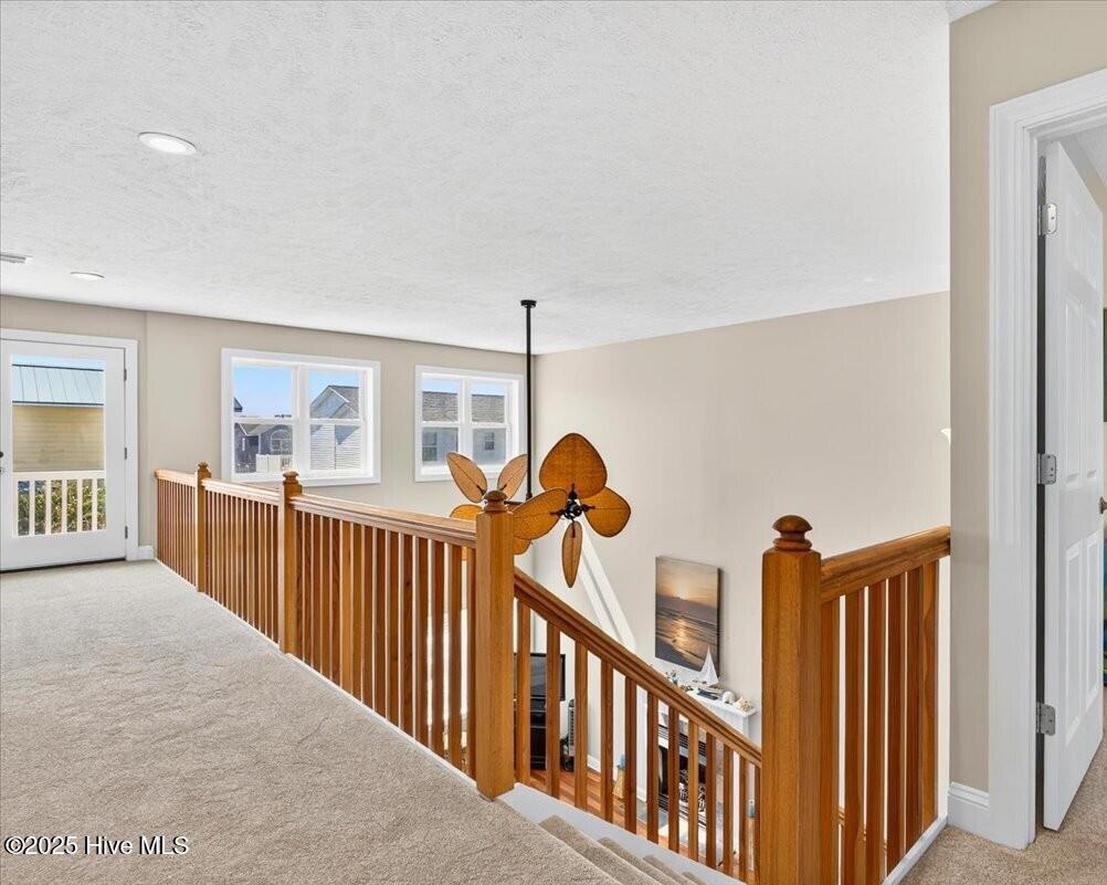 100529762 | Photo 11