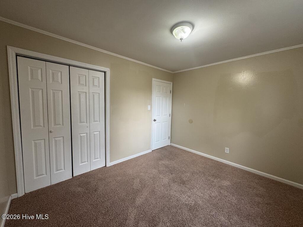 100555904 | Photo 16