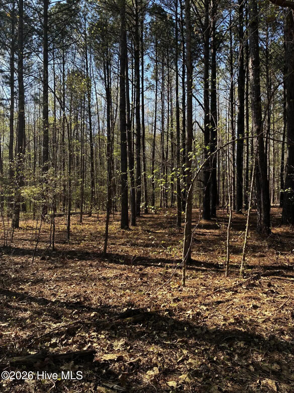 285 Kelly Road, Carthage, NC, 28327