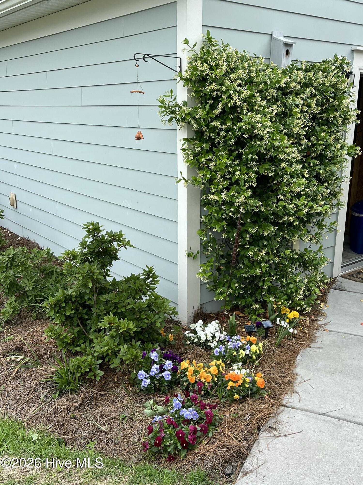 100553997 | Photo 41