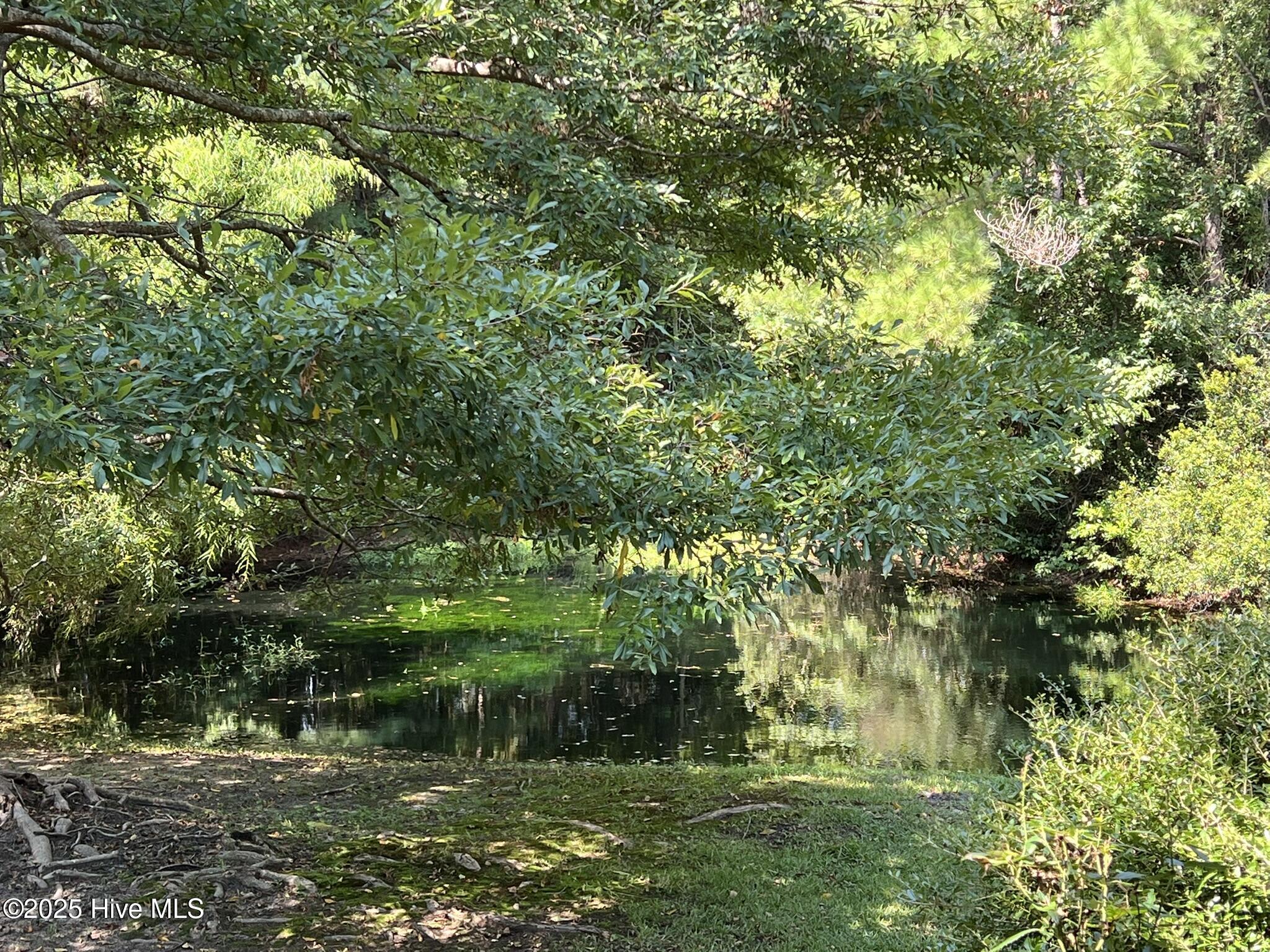 100562201 | Photo 32