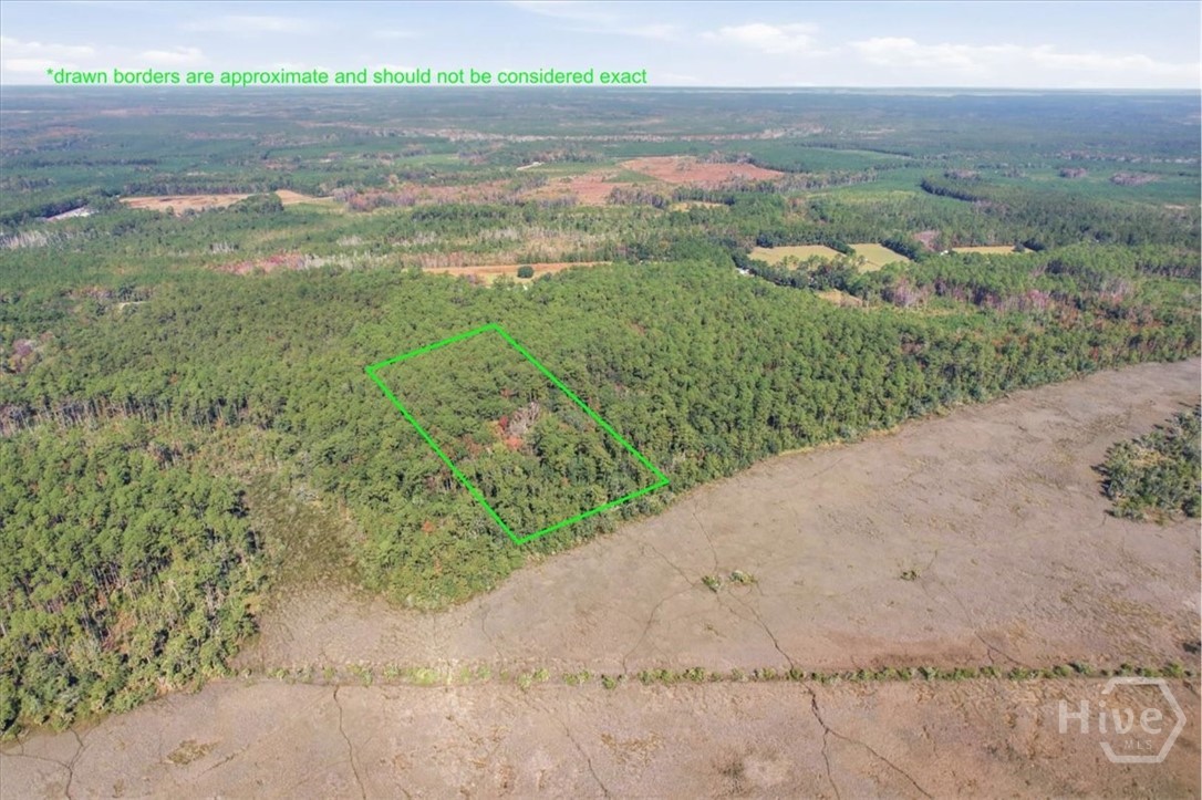 Homes for sale in Townsend, GA | 0 Fair Hope Rd Ne, Townsend, GA 31331 | MLS# SA343434