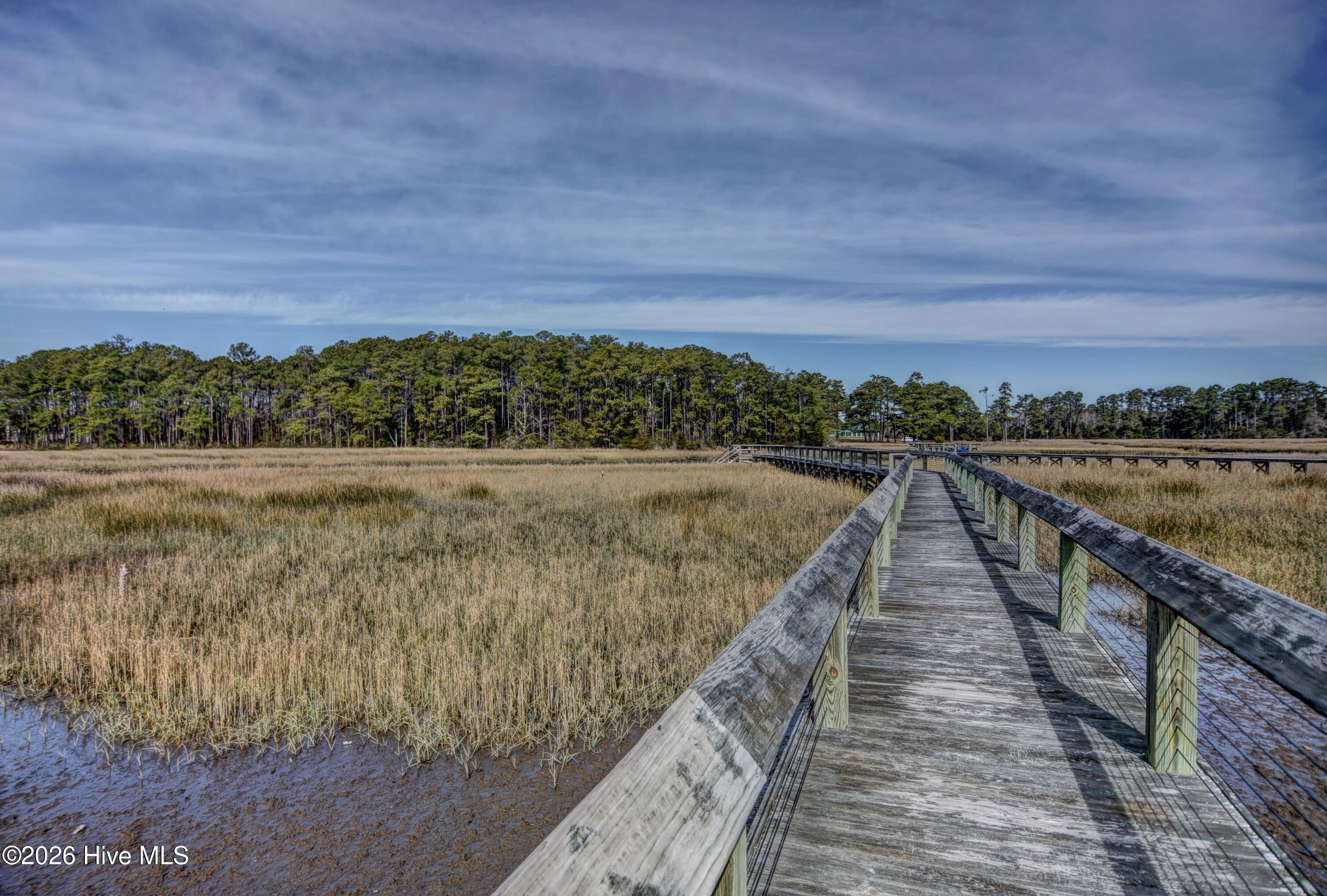 100554851 | Photo 42