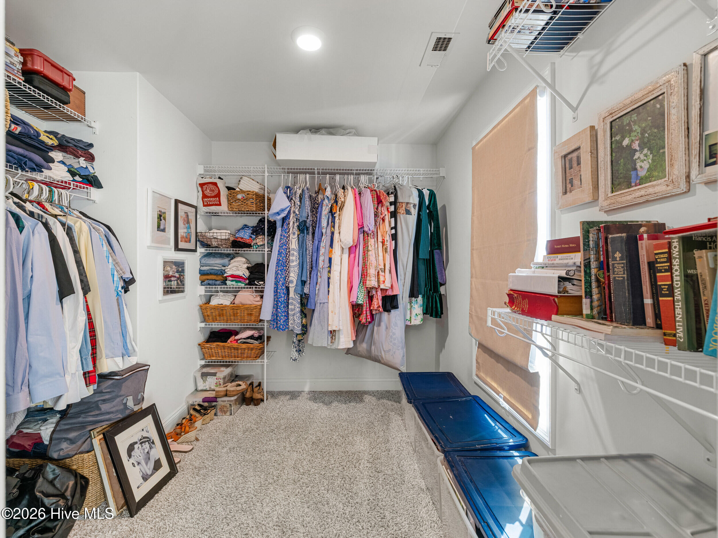 100558735 | Photo 44