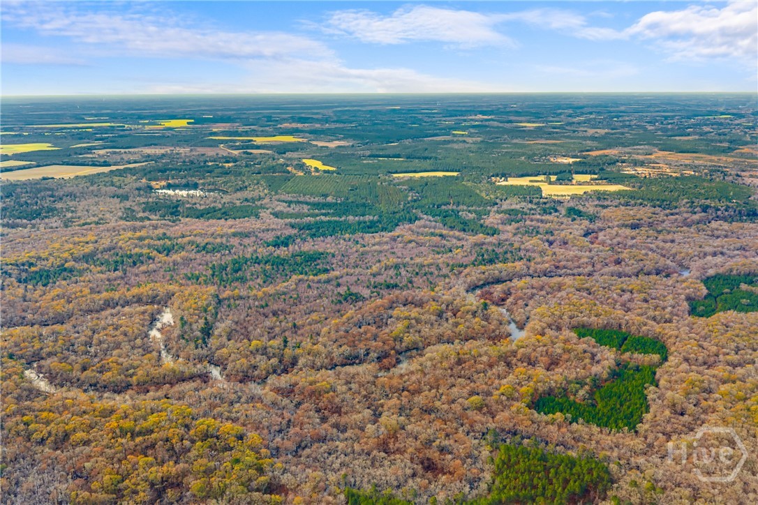 1000 Old River Road S, Brooklet, GA, 30415