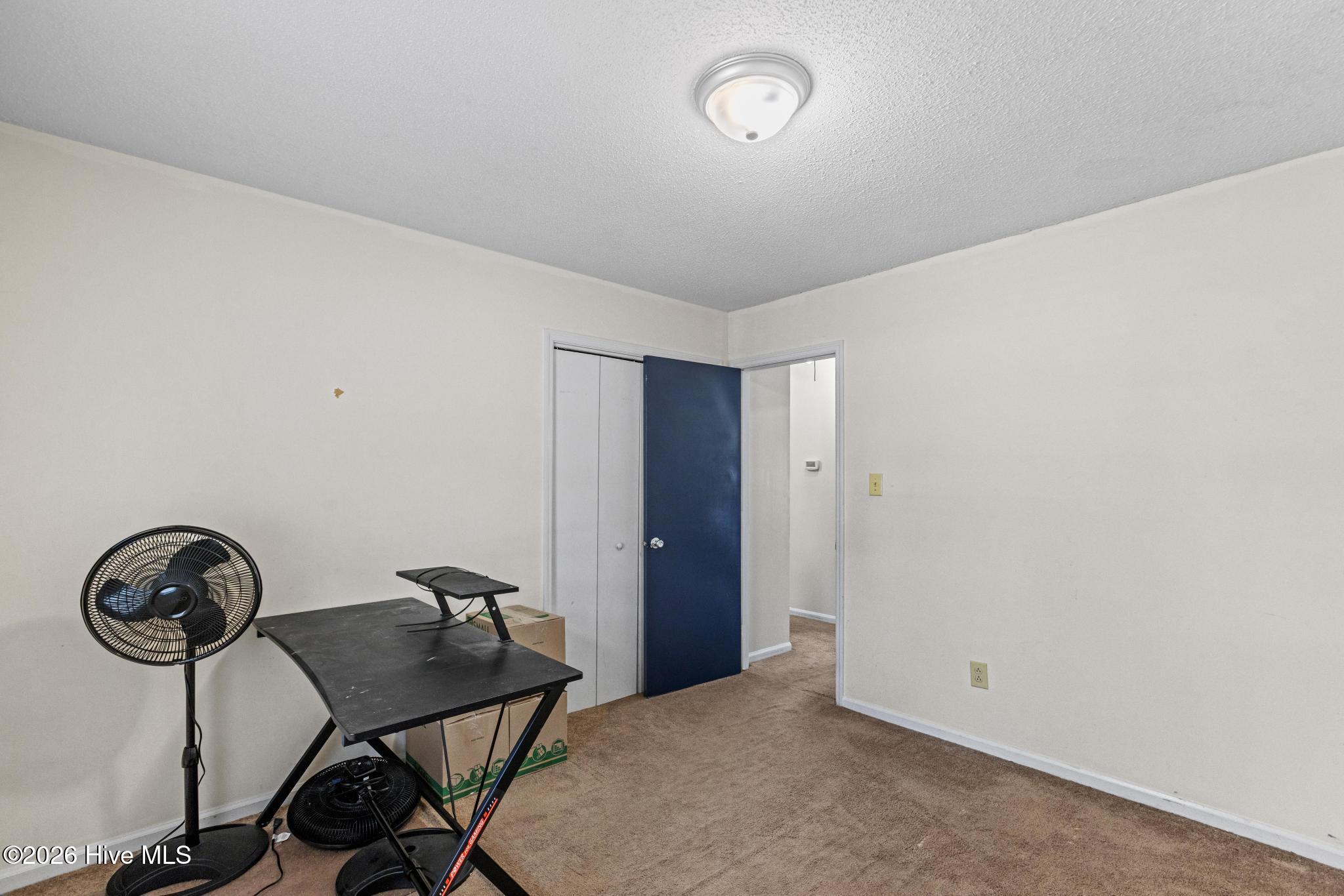 100558946 | Photo 13