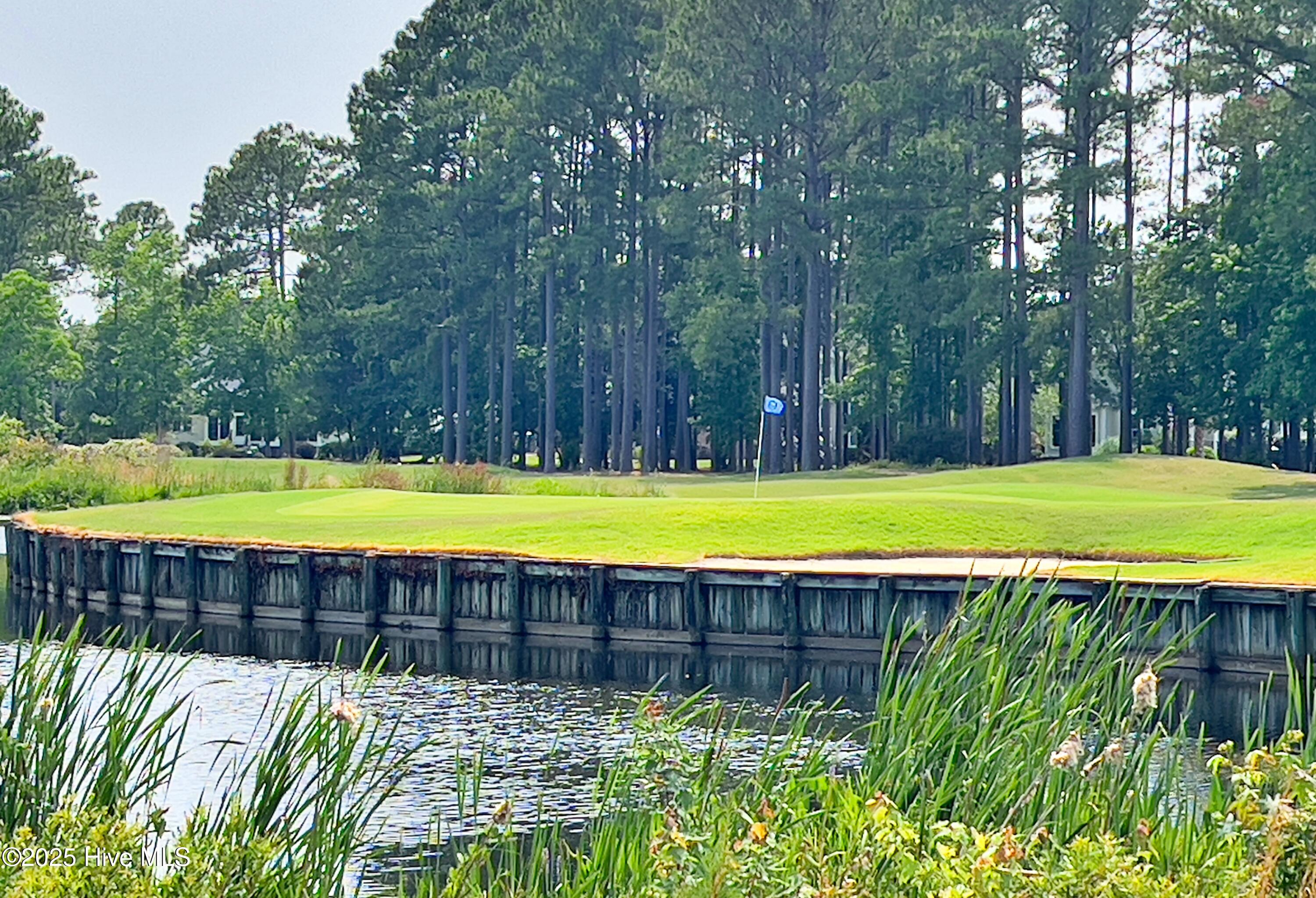 100511147 | Photo 42