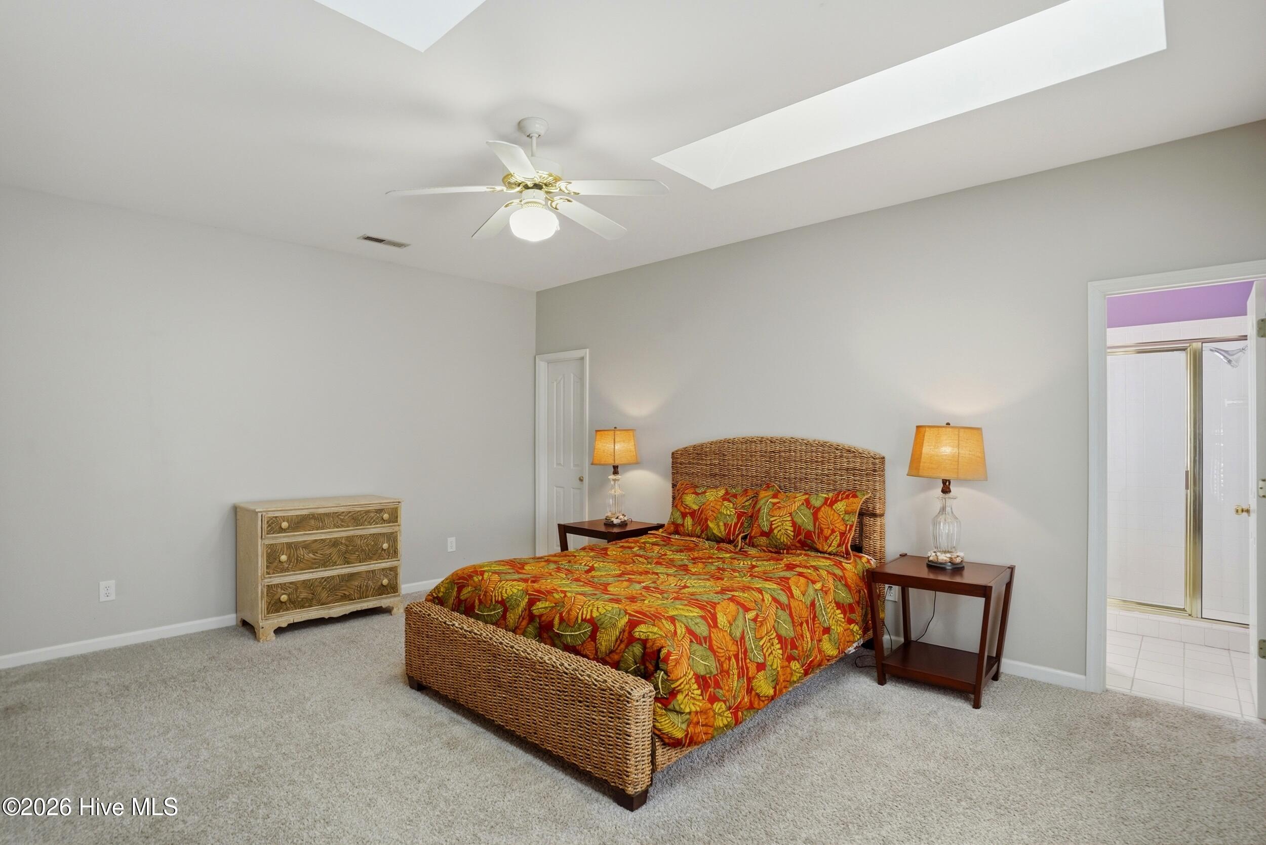 100556921 | Photo 24