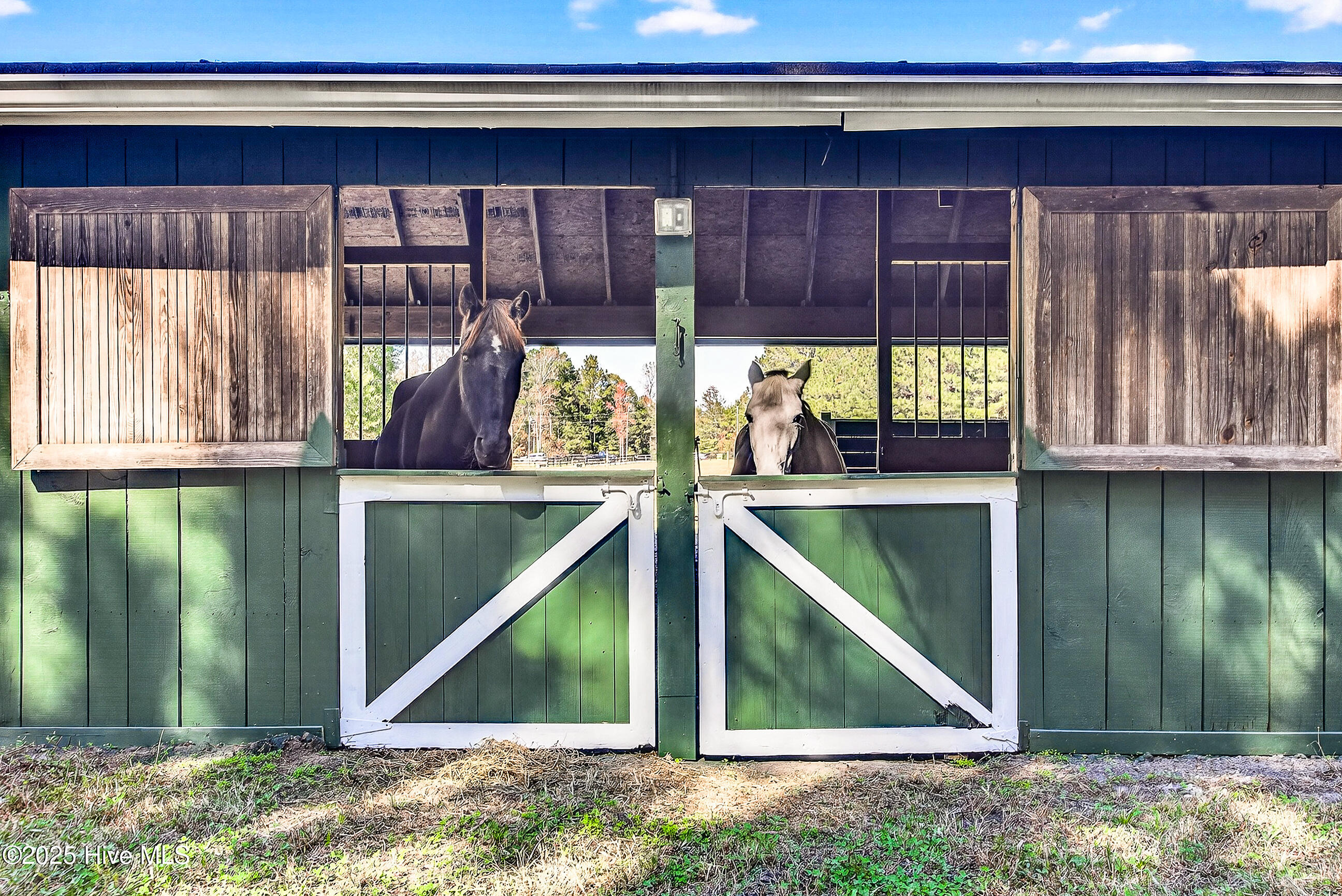 100540143 | Photo 44