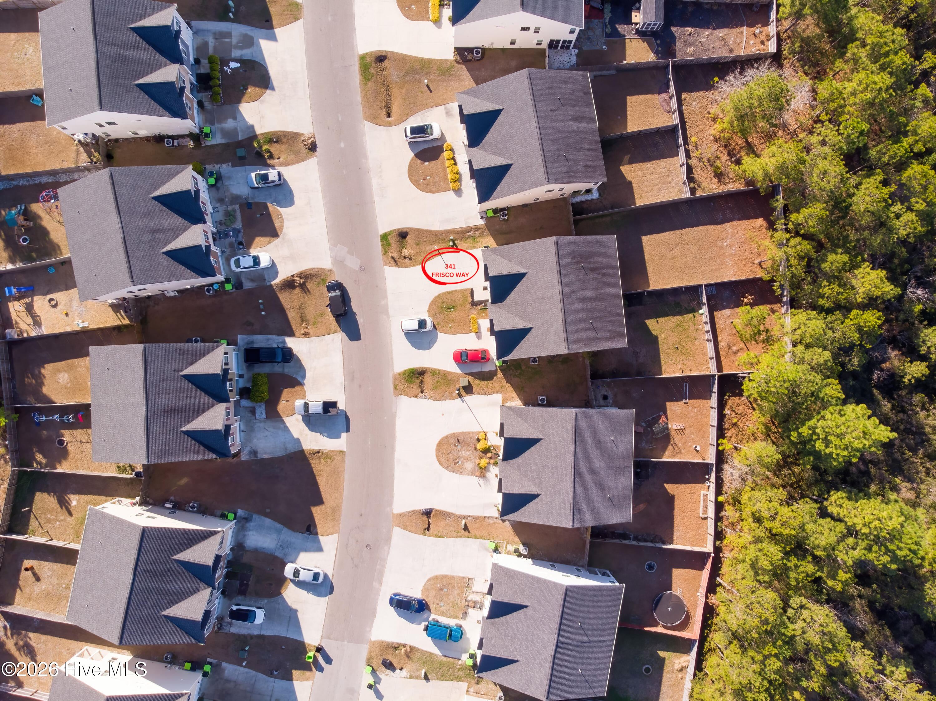 100567221 | Photo 55