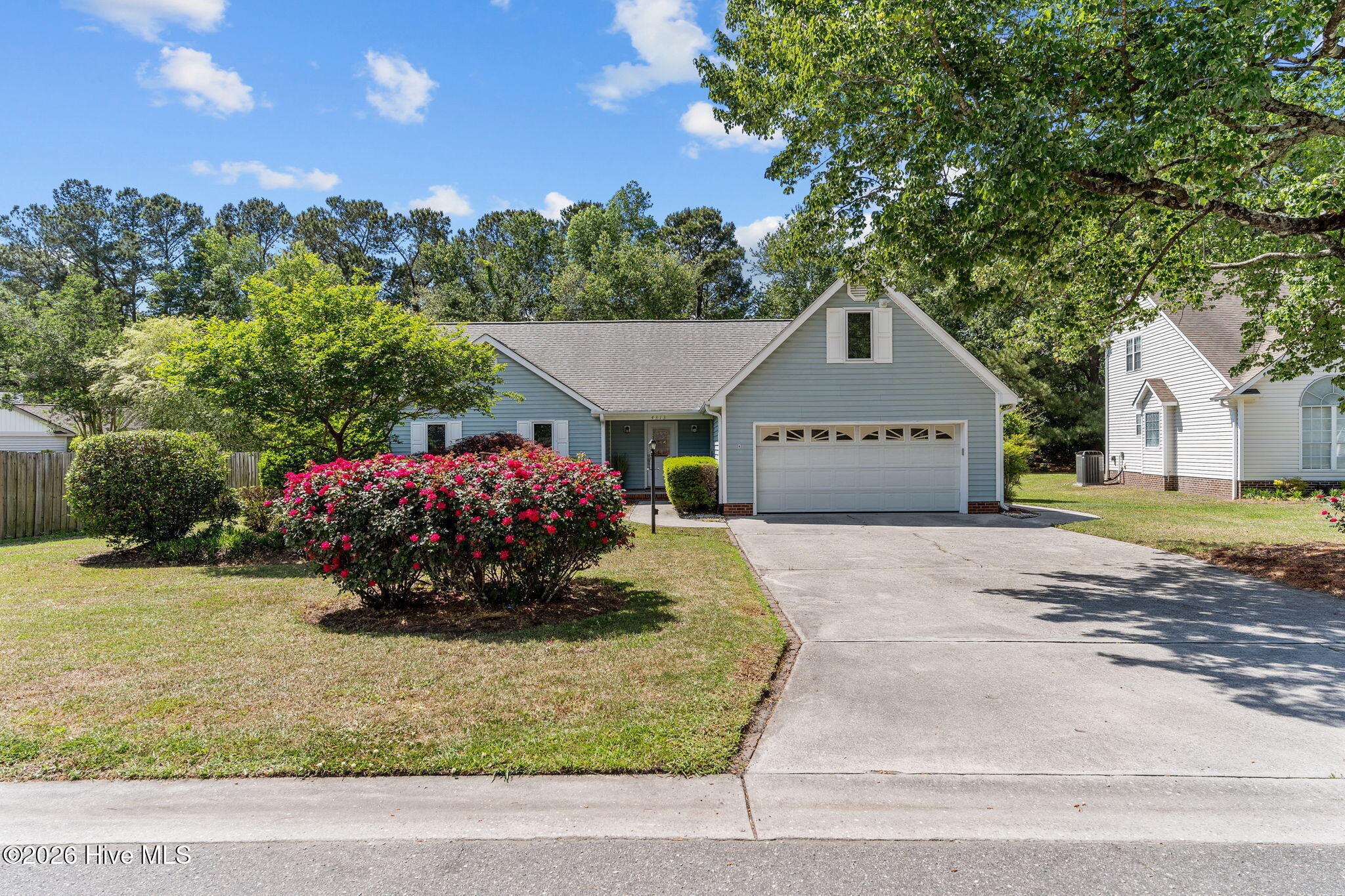 100568995 | Photo 48