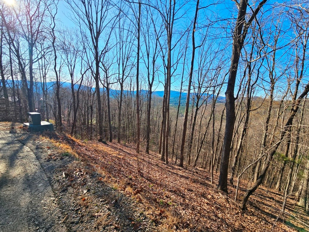 Exterior photo of Lot 67 Wilderness Creek Way, Murphy, NC 28906. MLS: 98525327