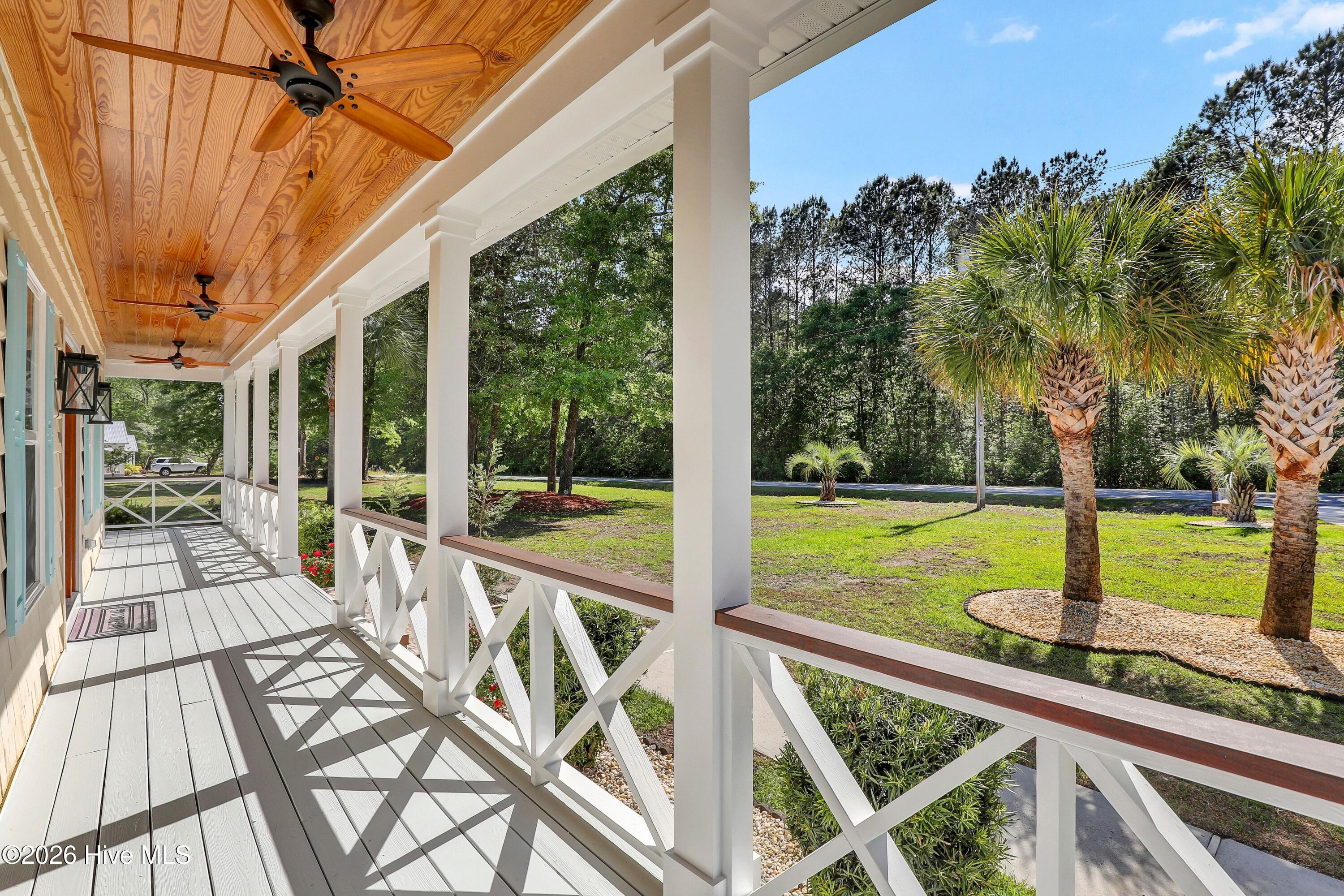 100567806 | Photo 11