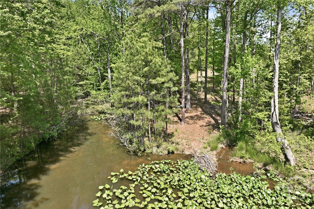Edge of pond goes with property