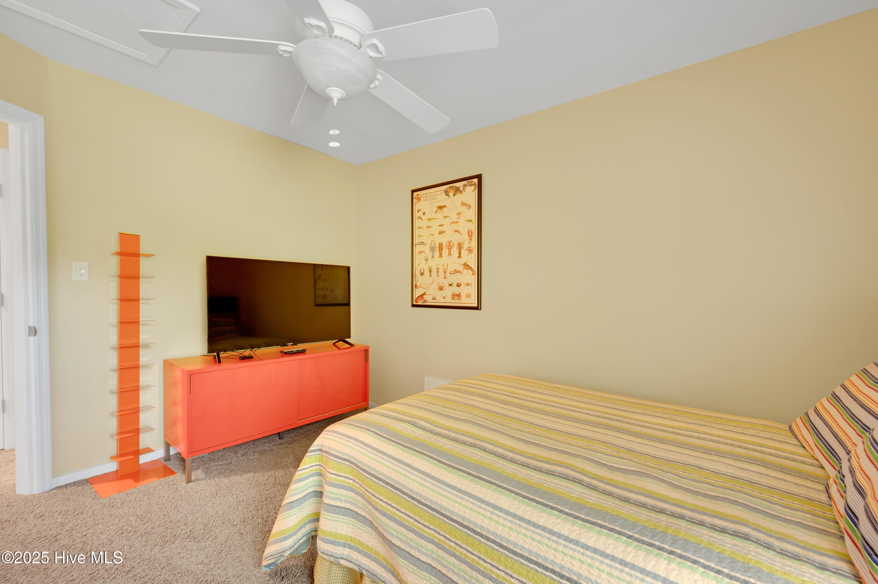 100498545 | Photo 90