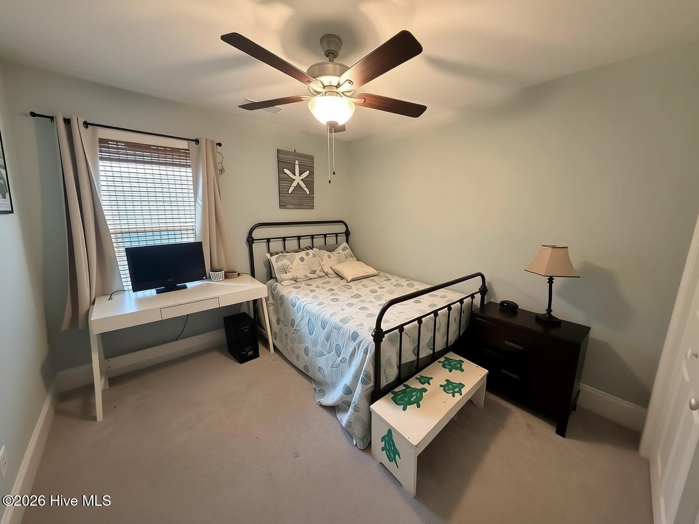 100558170 | Photo 20