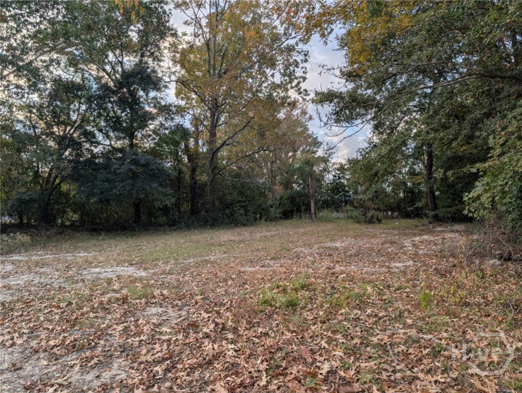 Homes for sale in Savannah, GA | 121 Roberts St, Savannah, GA 31408 | MLS# SA344029