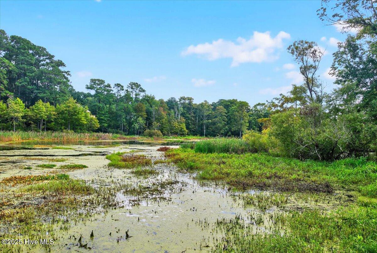 100525090 | Photo 44