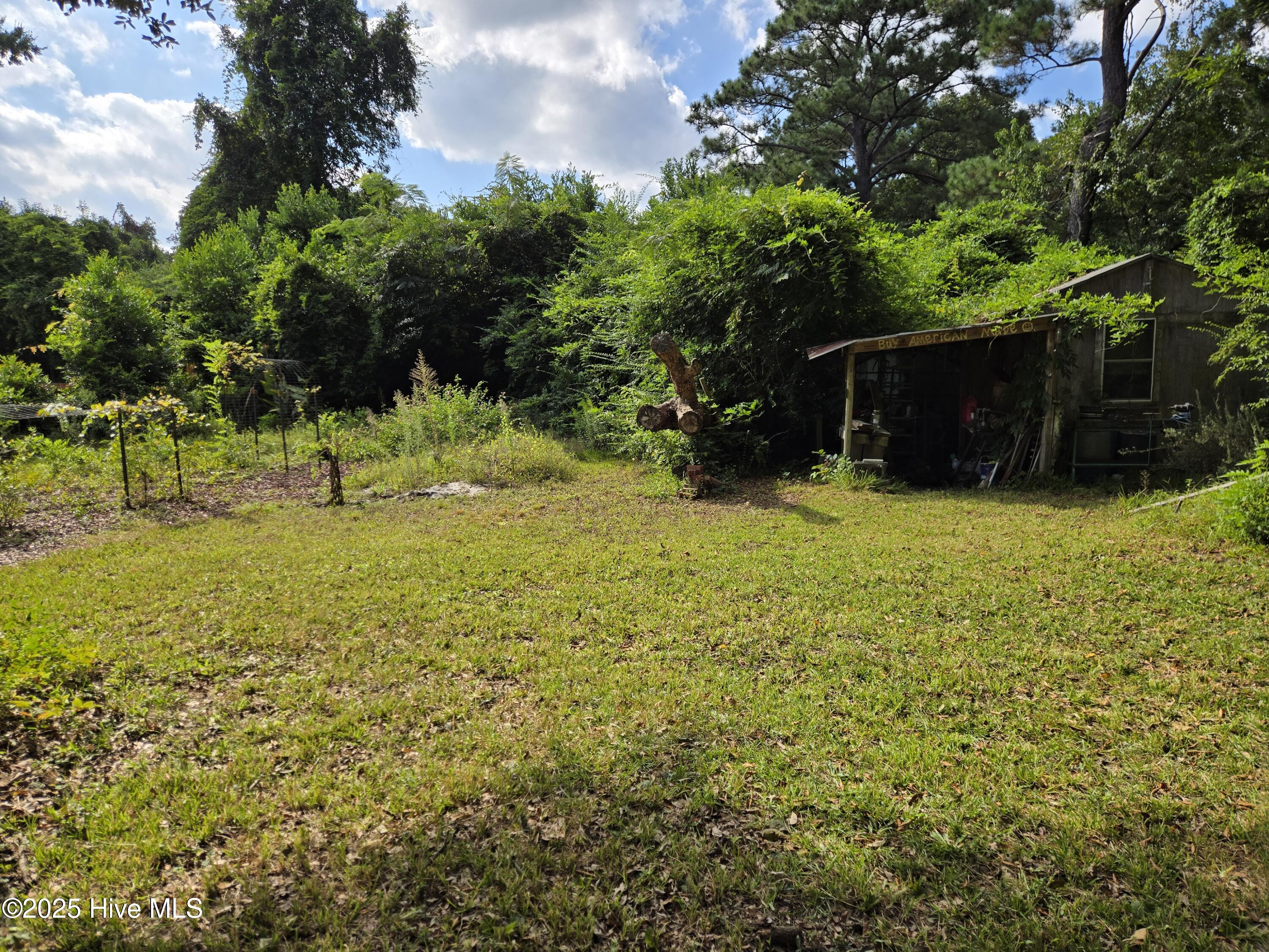 100531418 | Photo 37