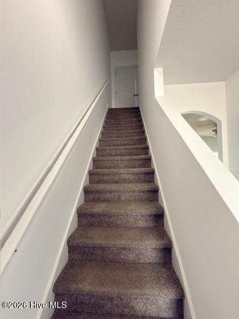 100564821 | Photo 10