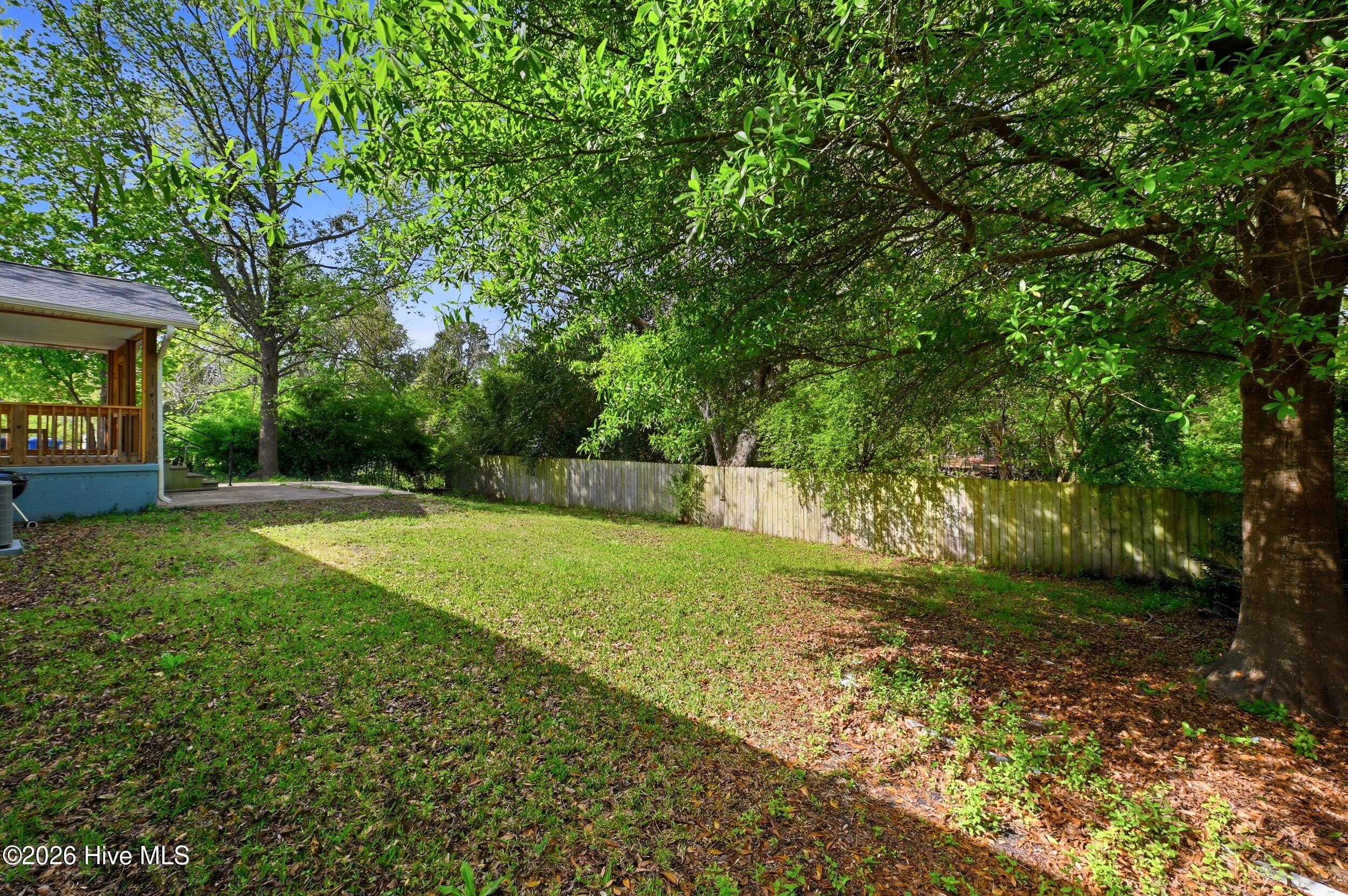 100566125 | Photo 42