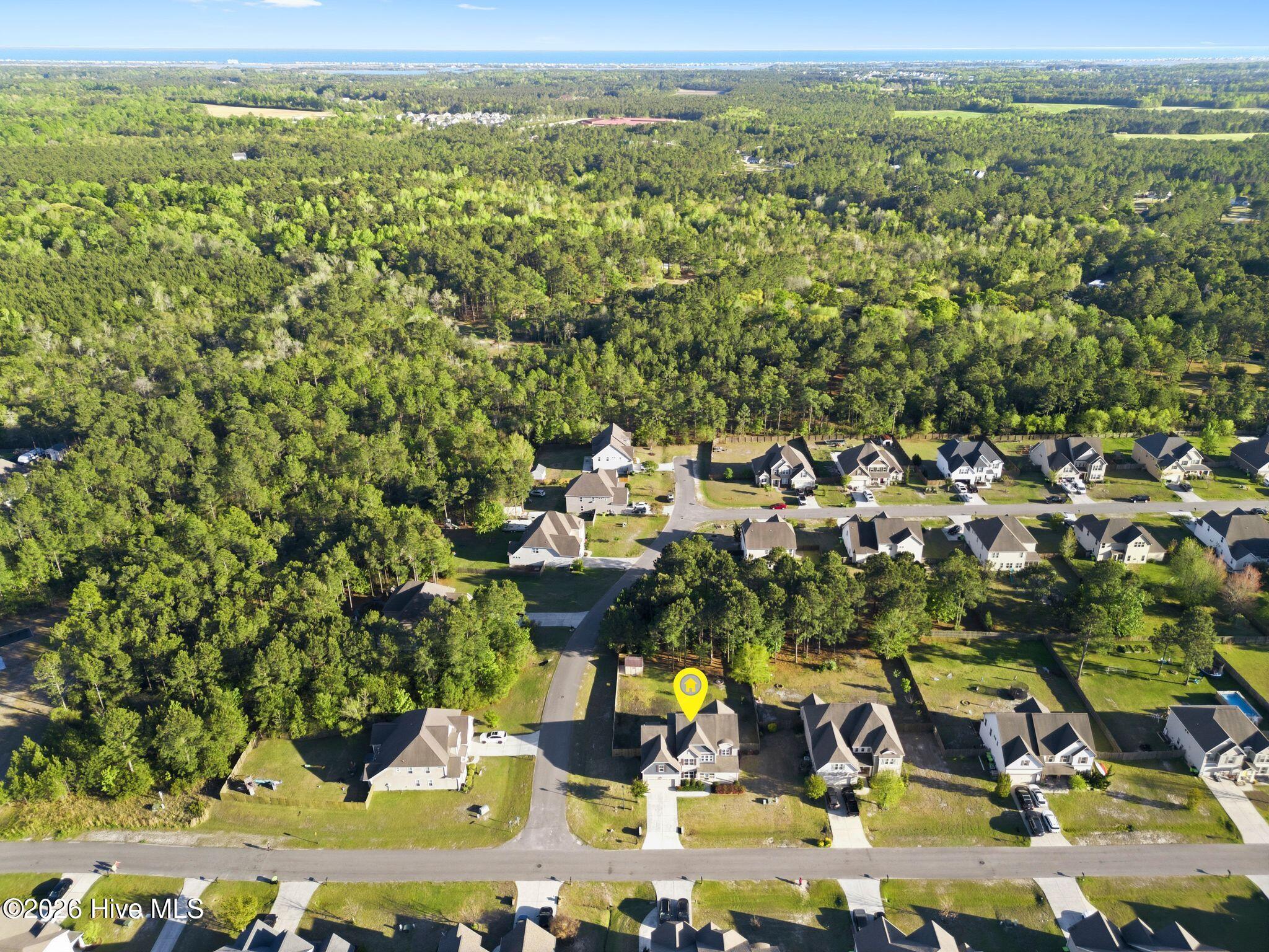 100566859 | Photo 77