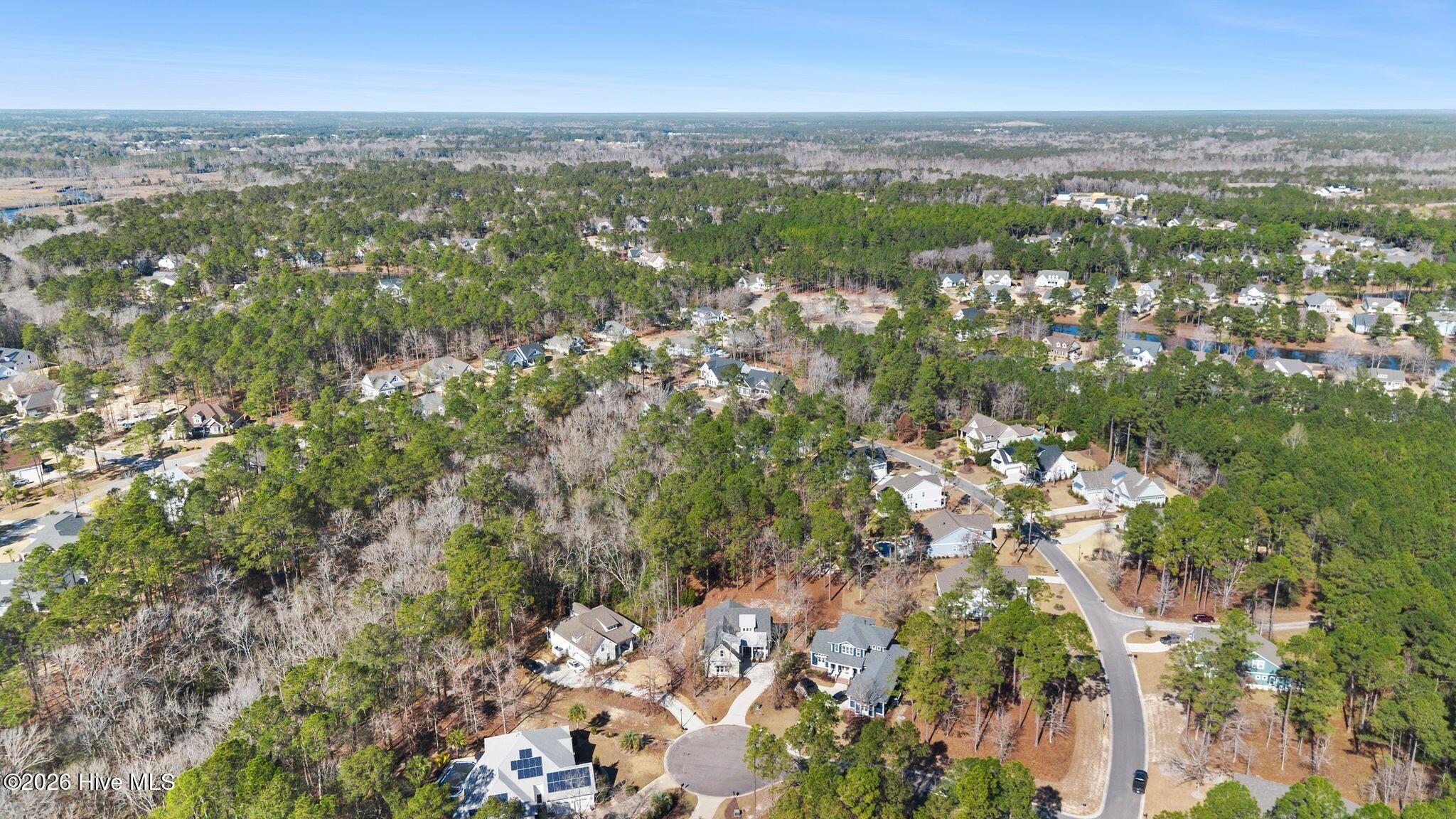 100551668 | Photo 102