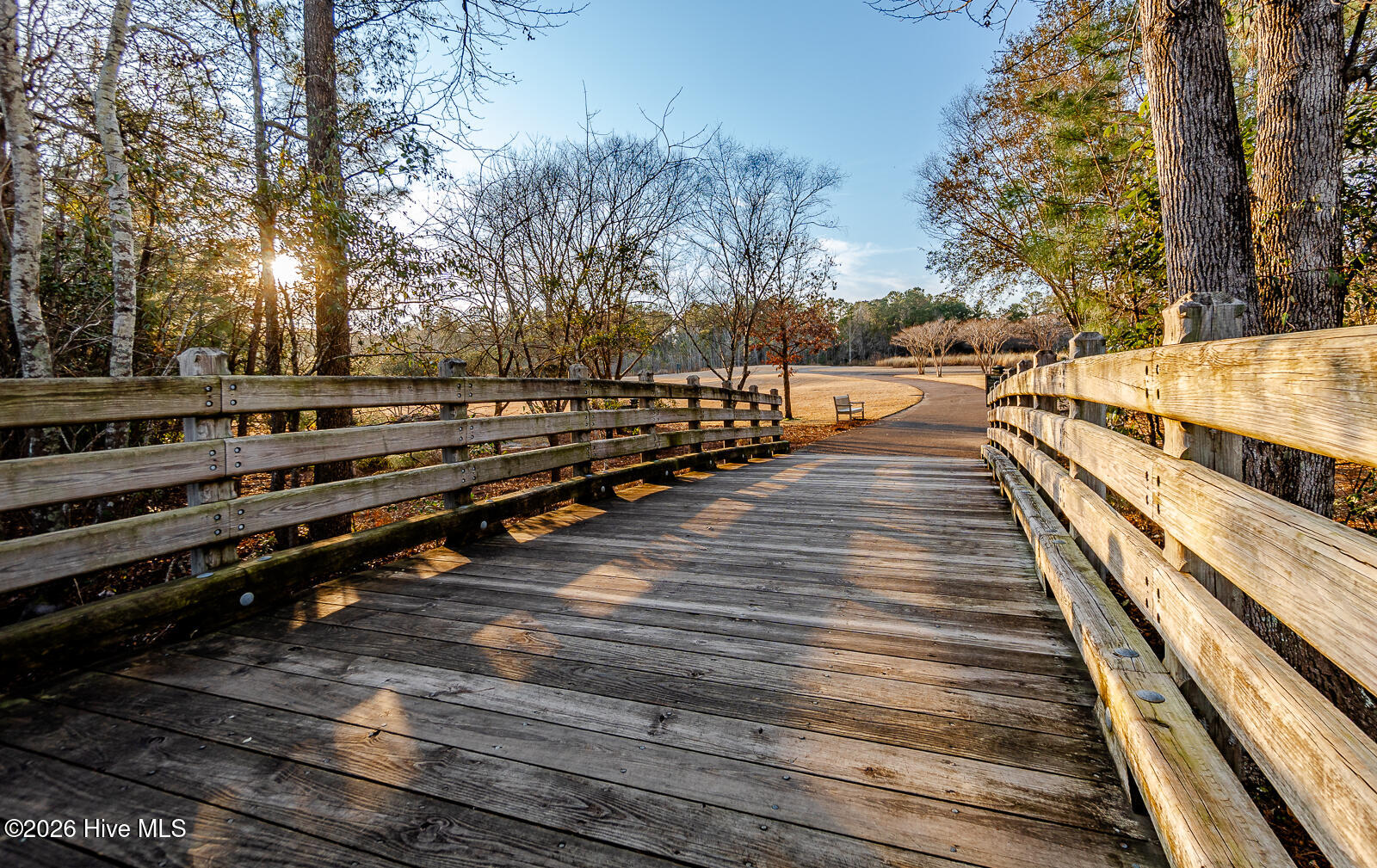 100555037 | Photo 58